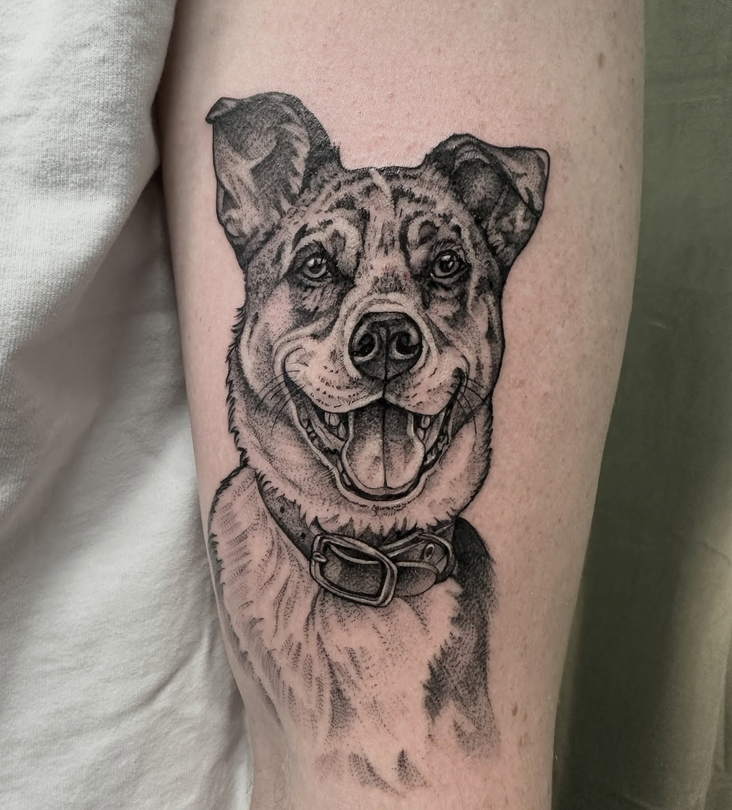 Dog dotwork tattoo on the forearm by Robert McCollum