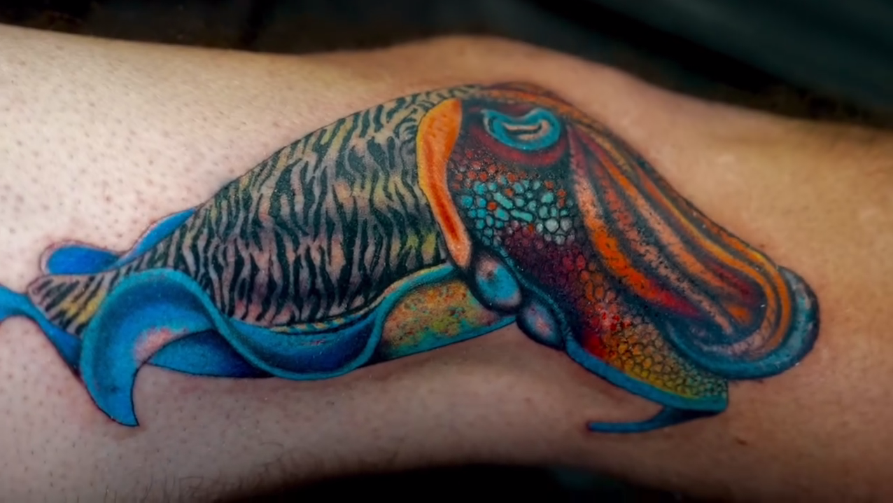 Cuttlefish realism tattoo by Dharma.tattoo