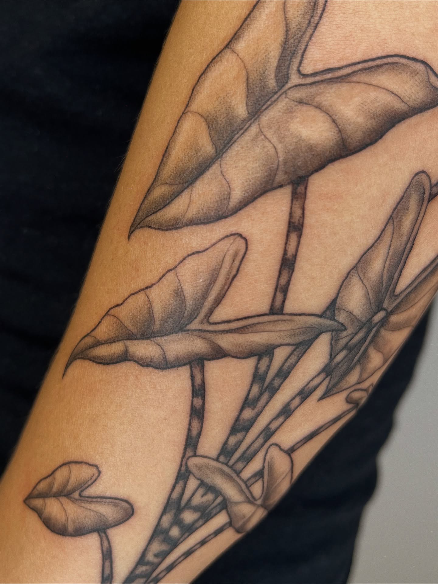 Tattoo by @leneya__valenti β black_and_grey, realism