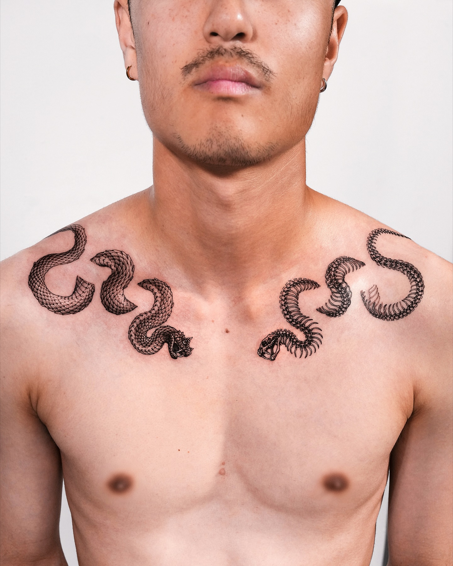 Snakes black and grey tattoo on the chest by Intat
