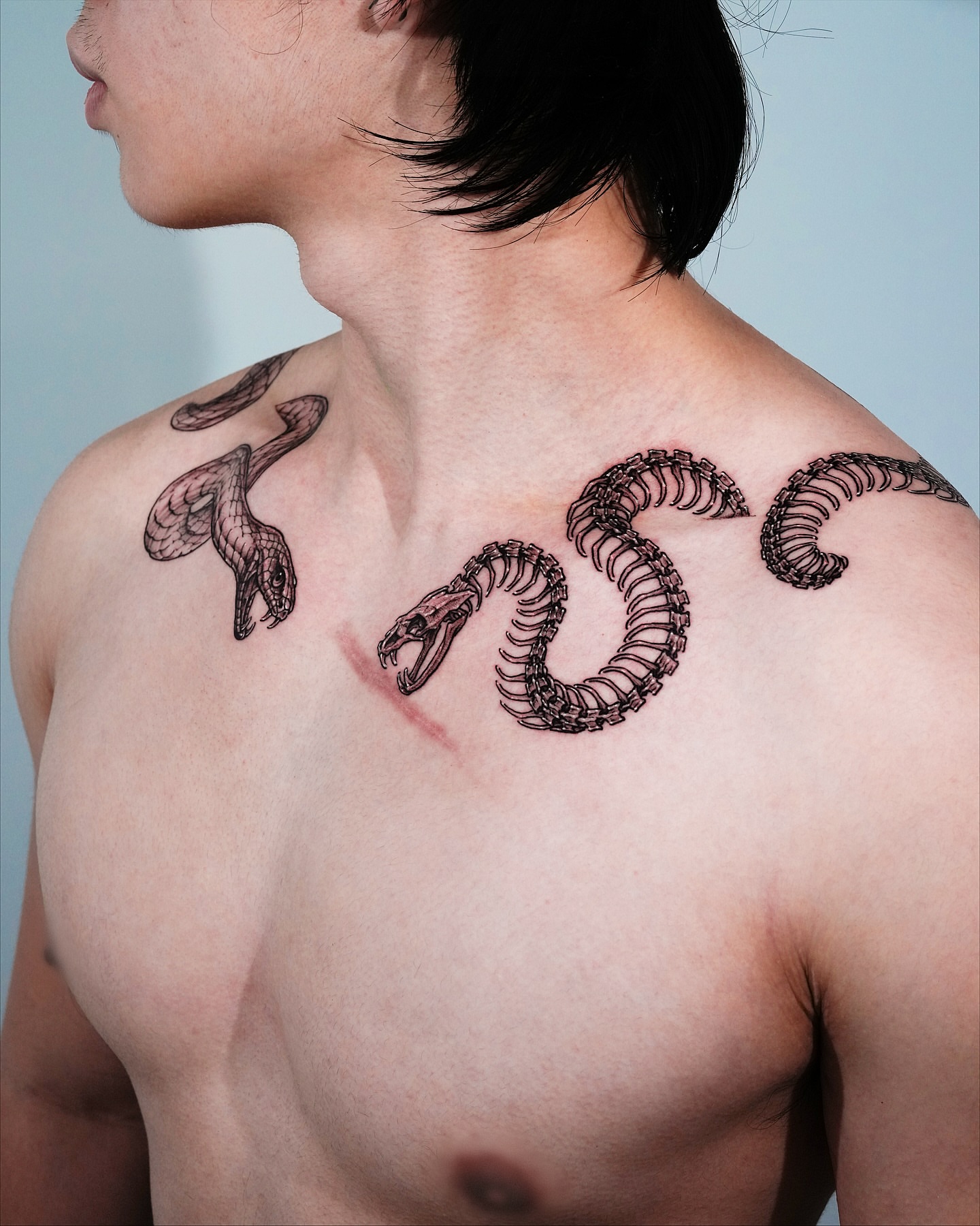 Snake black and grey tattoo on the chest by Intat