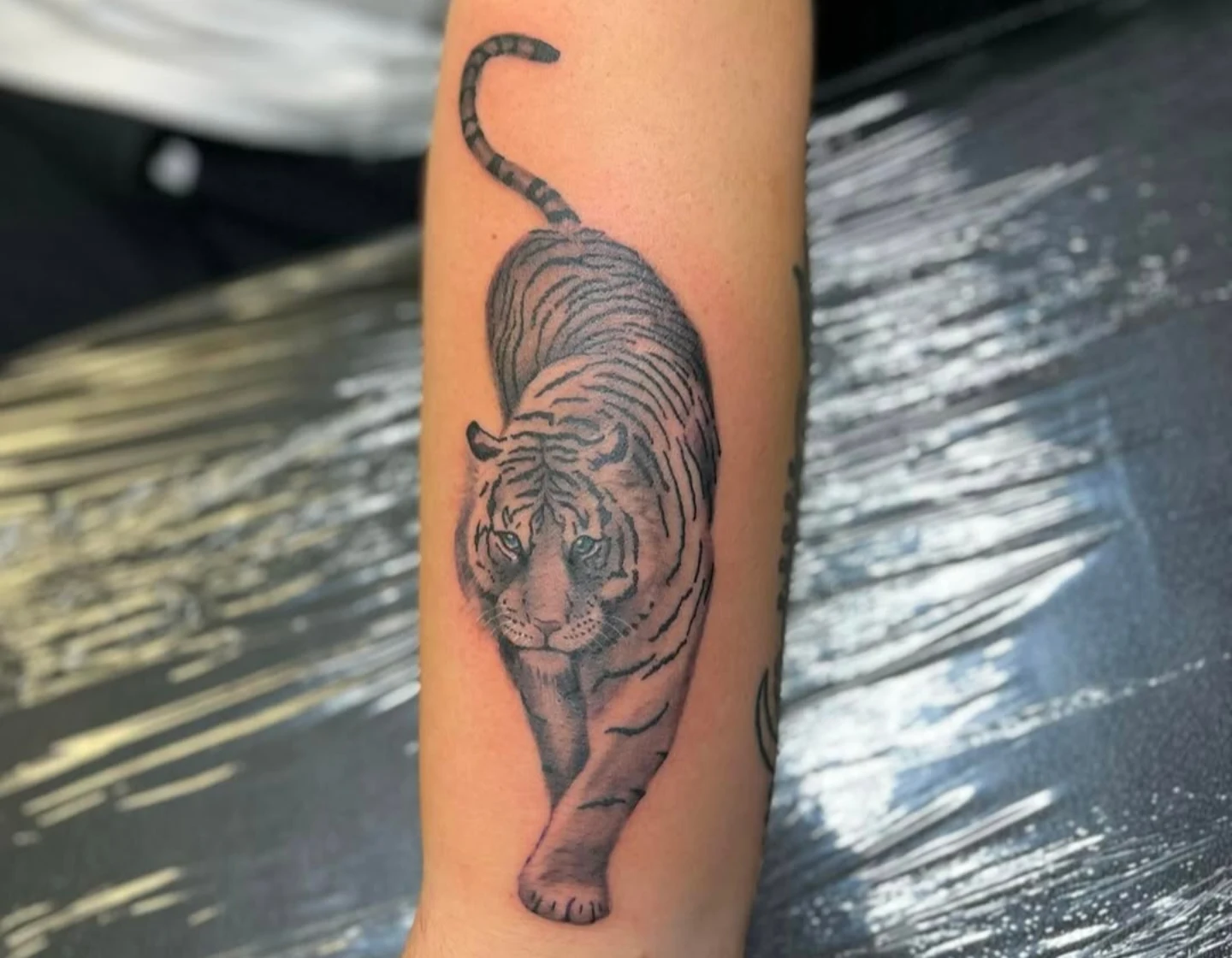 Tiger black and grey tattoo on the forearm by William “Shamrock” Sammon