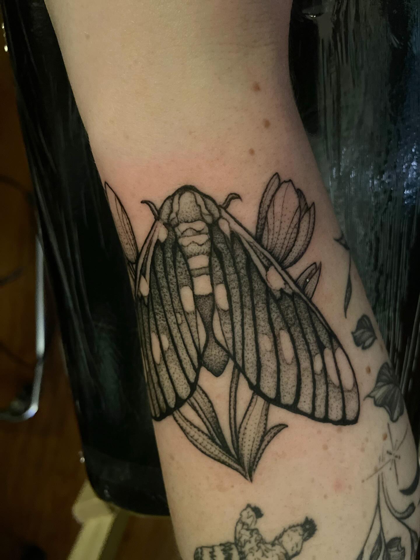 Moth and flowers dotwork tattoo on the forearm by Jacob Kearney