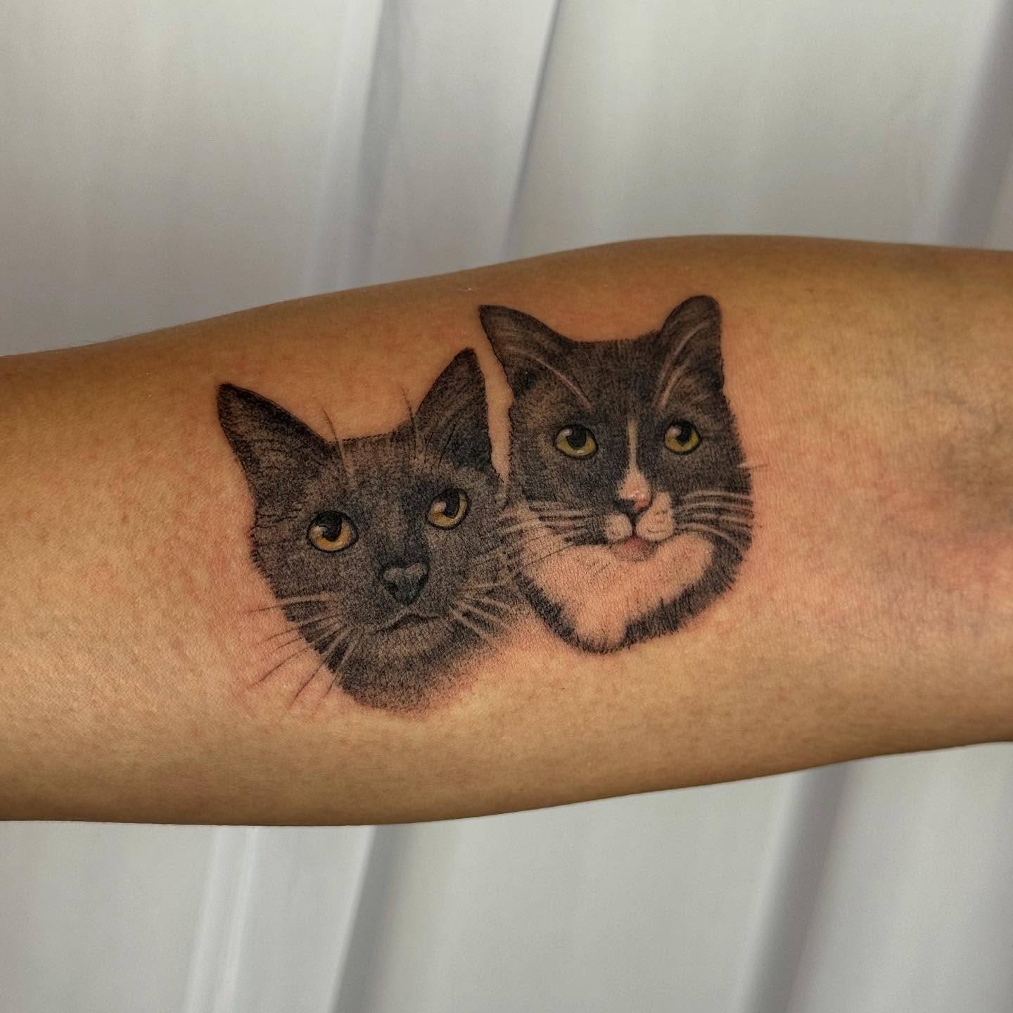 Two cats realism tattoo on the forearm by Sarah Seveney