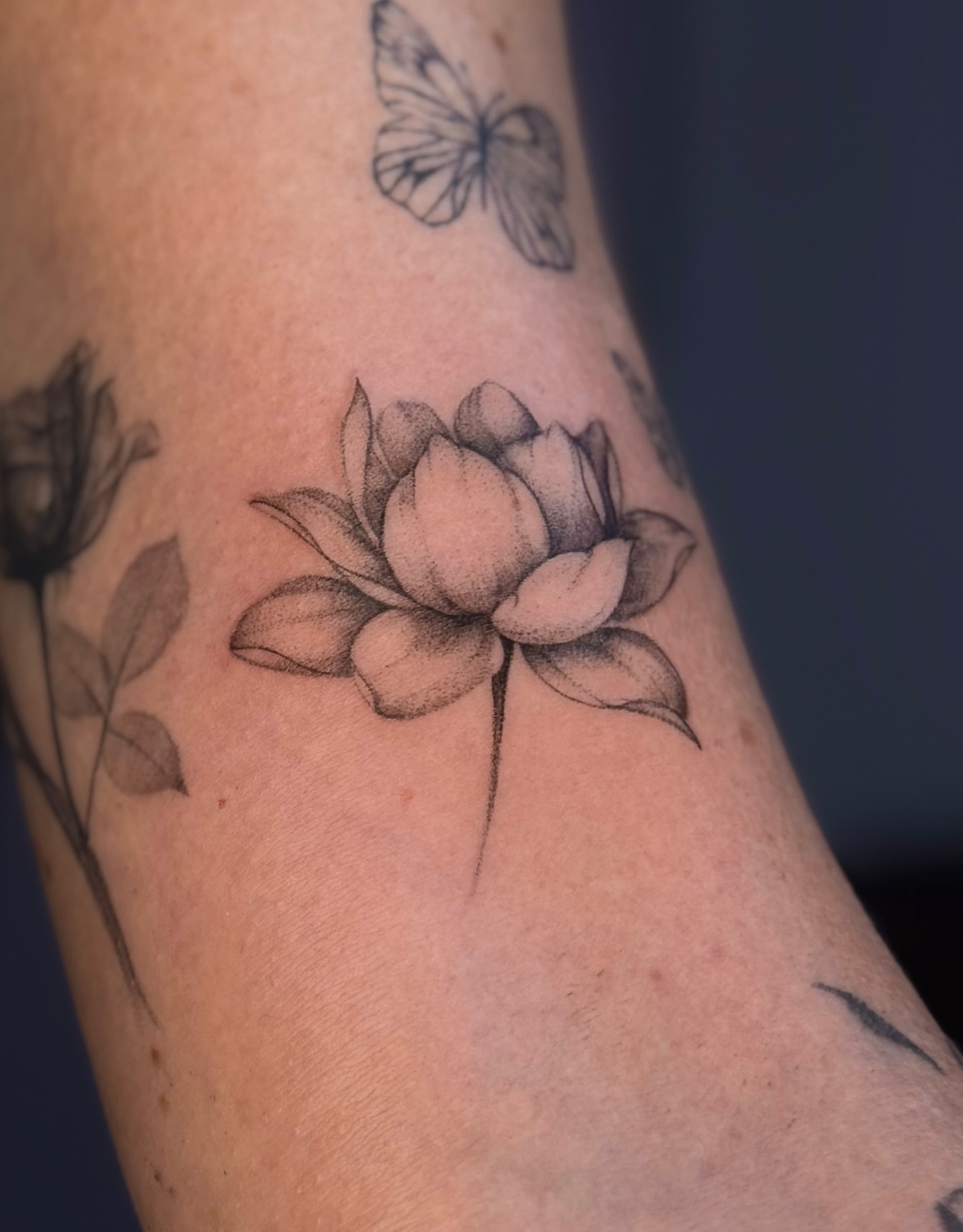 Lotus flower dotwork tattoo on the forearm by Daria