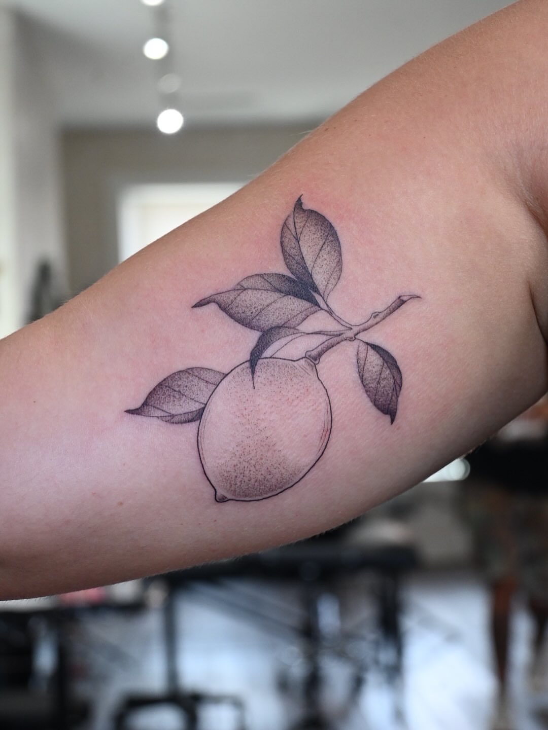 Lemon branch dotwork tattoo on the forearm by Simba Nguyen