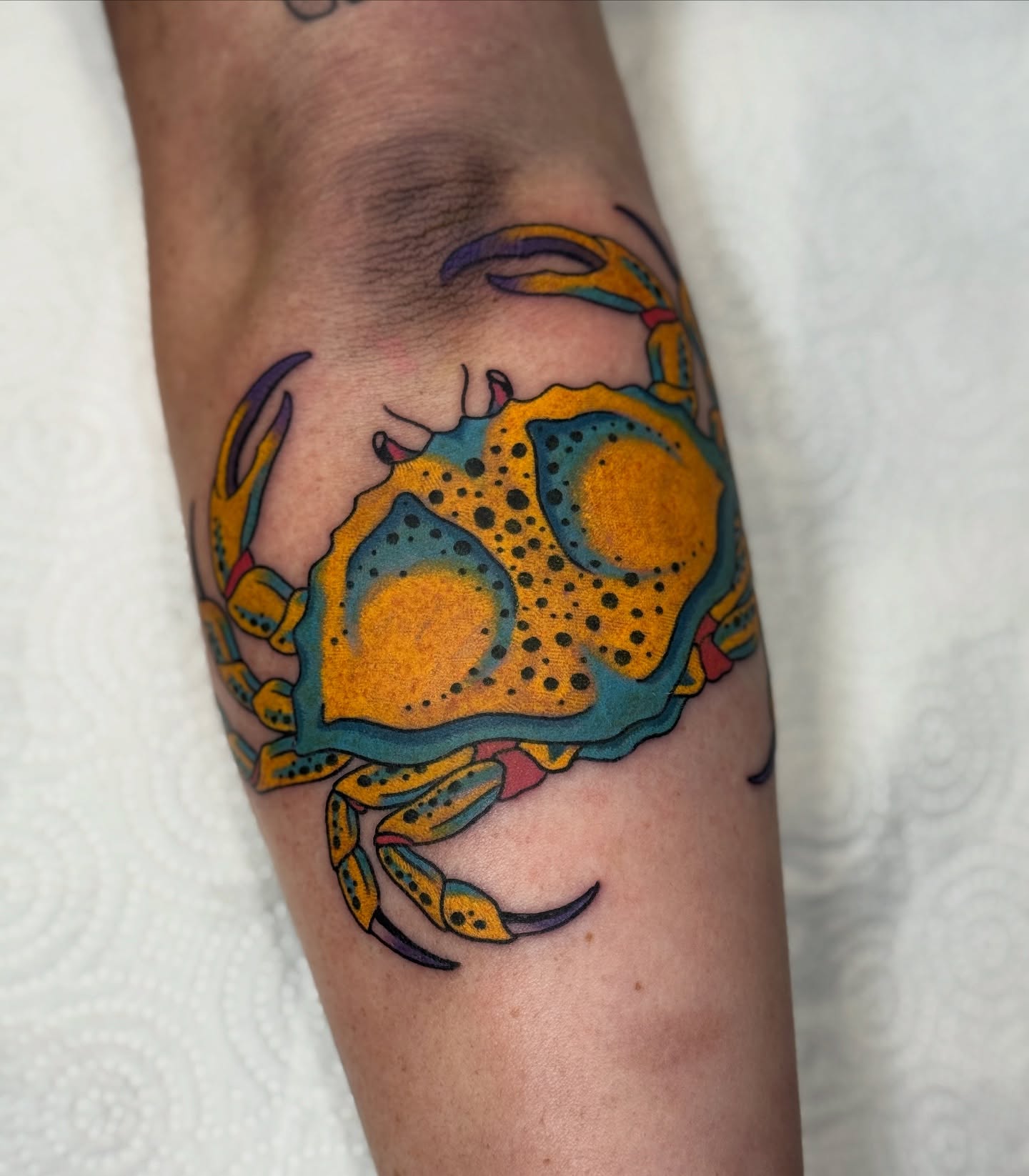 Crab dotwork tattoo on the forearm by Christopher  Cousins, Nashville, Tennessee