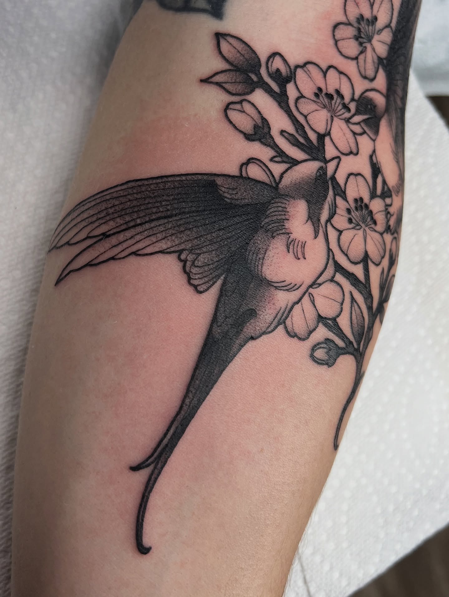 Hummingbird and blossoms realism tattoo on the forearm by Nathan Garcia