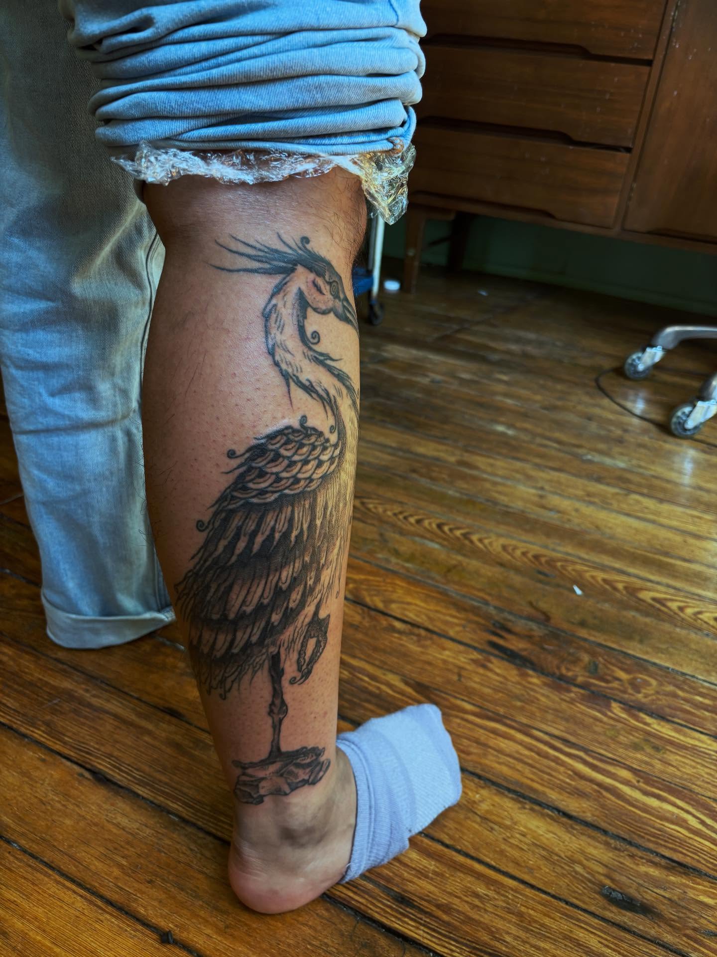 Bird black and grey tattoo on the calf by kris noble floyd