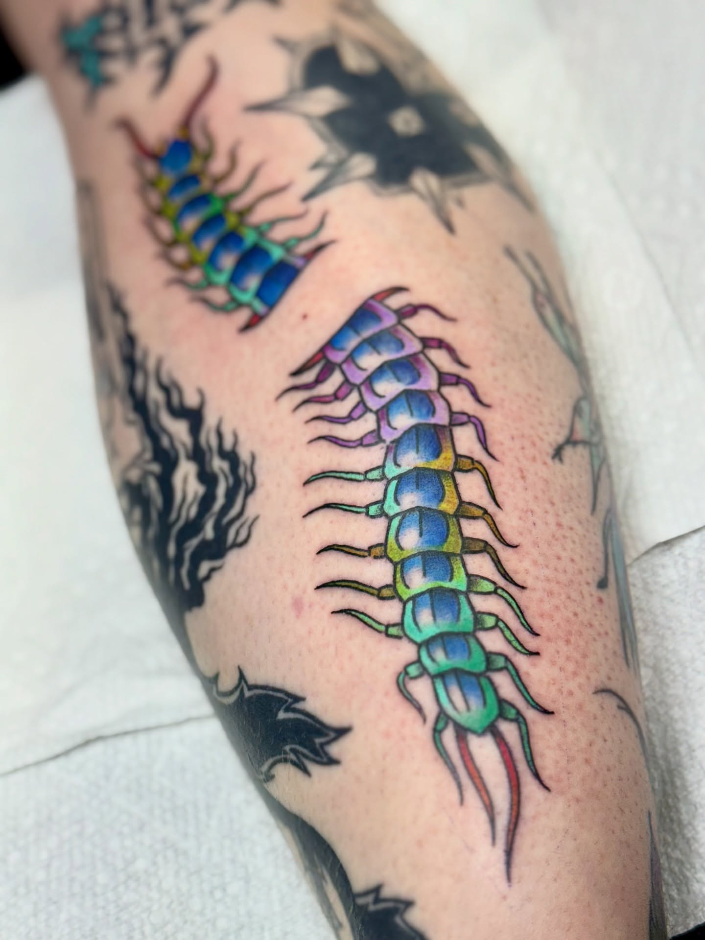 Centipedes American traditional tattoo on the forearm by Sophie McTear