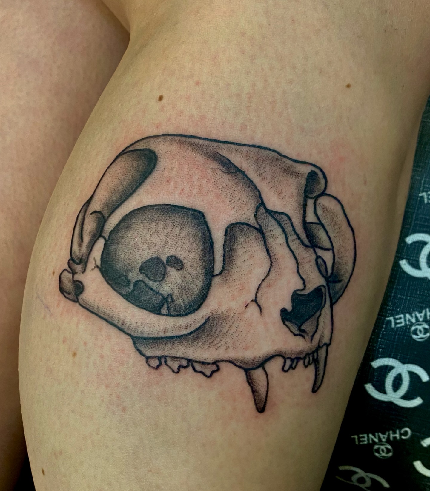 Tattoo by @katelaw_tattoos — black_and_grey