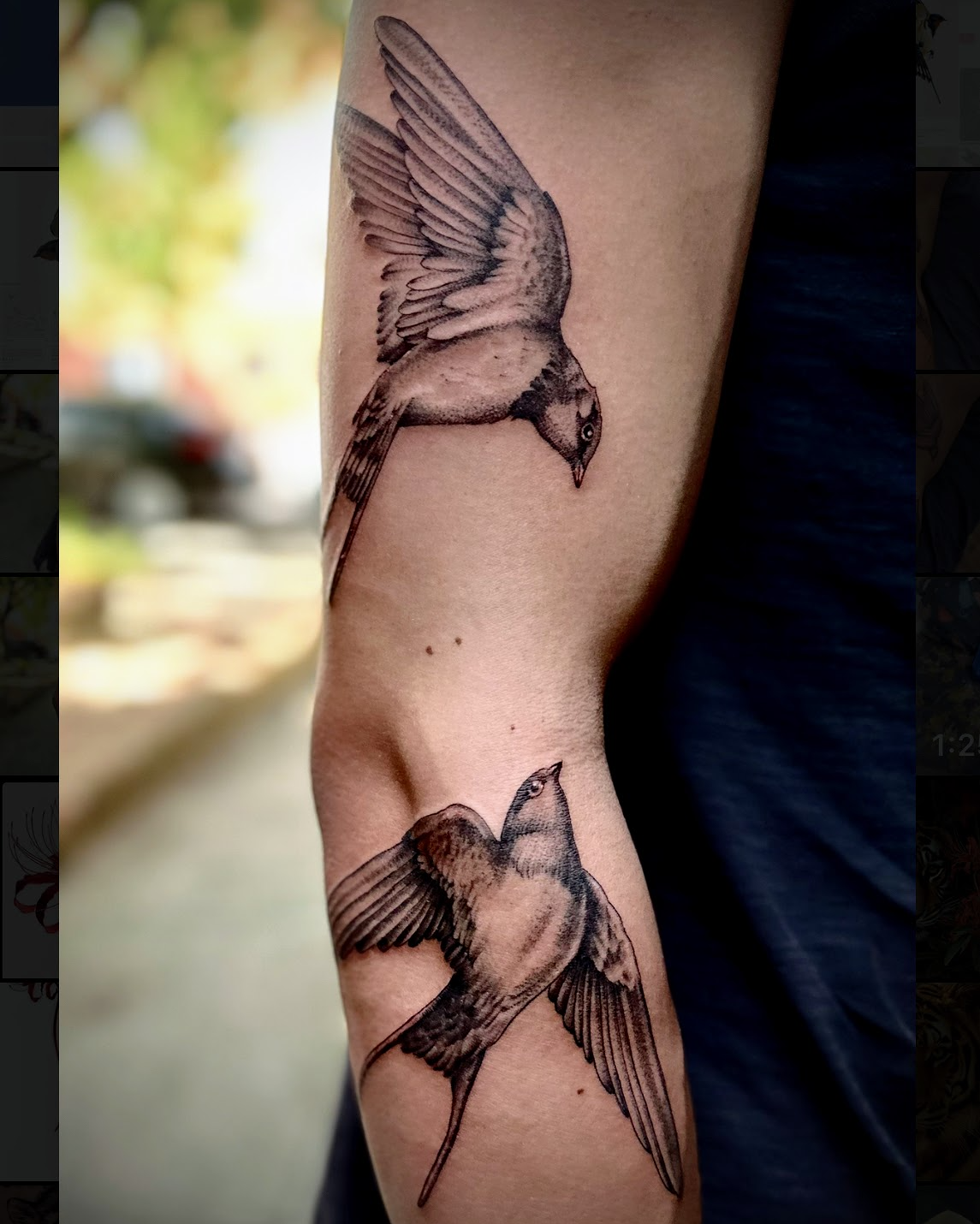 Swallows realism tattoo on the forearm by Giovanna Kline