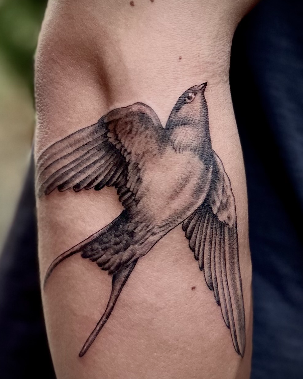 Swallow realism tattoo on the forearm by Giovanna Kline