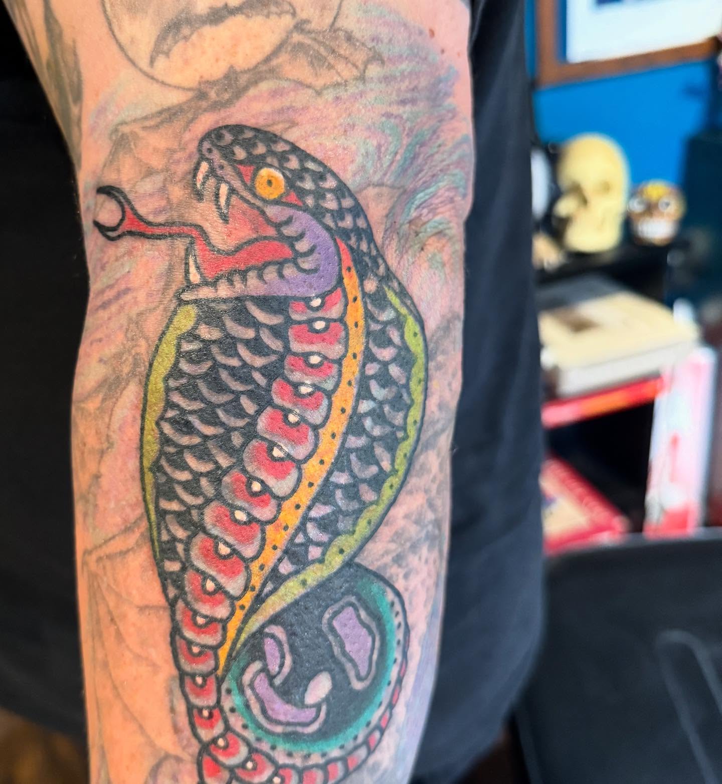 Snake American traditional tattoo on the forearm by Joe Truck