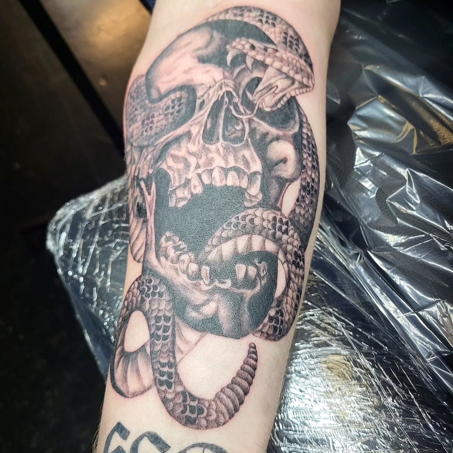 Skull with snake realism tattoo on the forearm by Jenna 🖤 Tattoos Denton TX