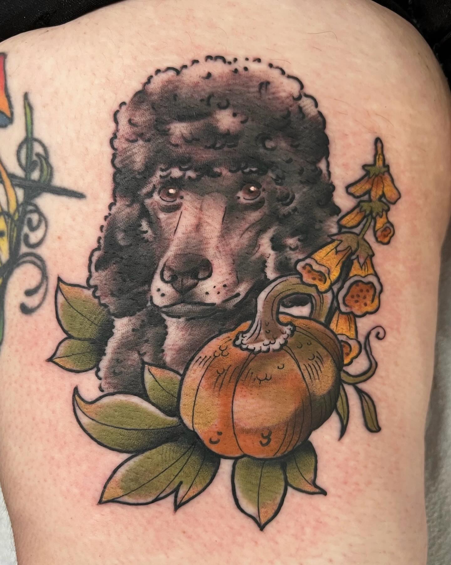 Poodle and pumpkin realism tattoo on the thigh by Kyle Olson, Salt Lake City, Utah
