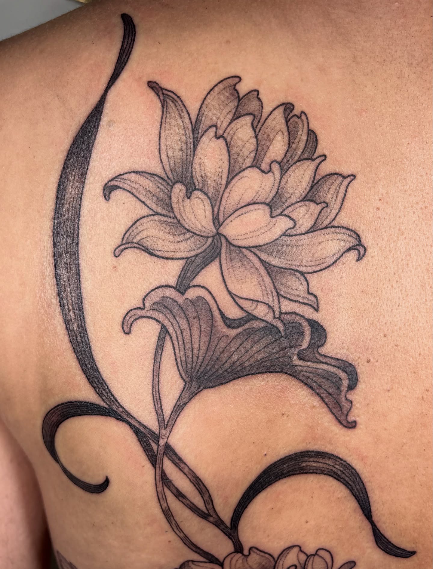 Lotus flower black and grey tattoo on the back by Kinsey Miller