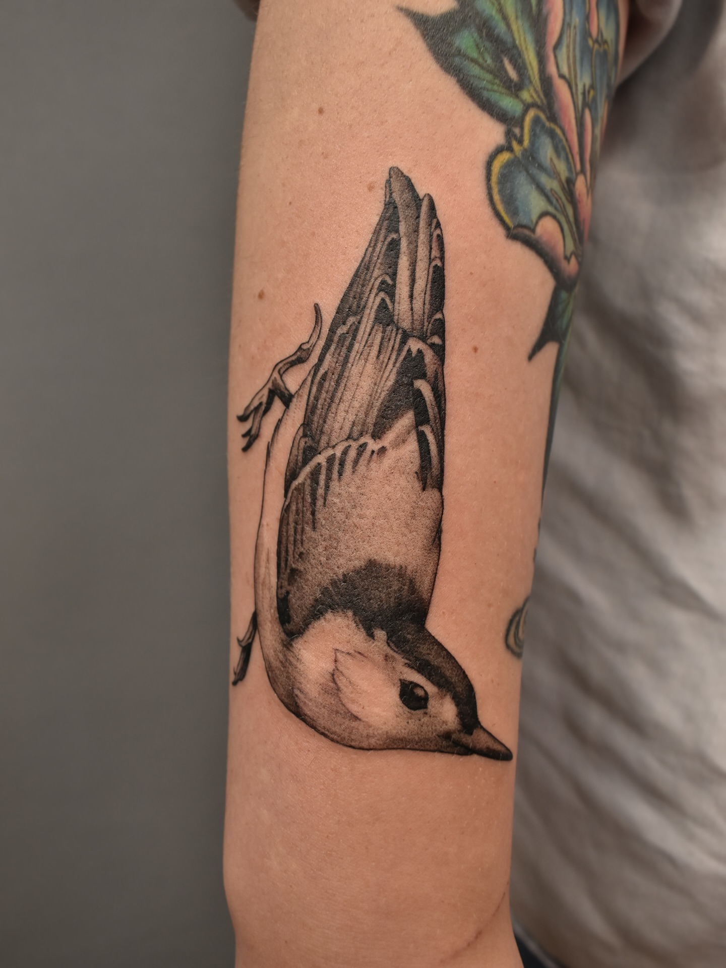 Bird realism tattoo on the forearm by Tattoo Artist