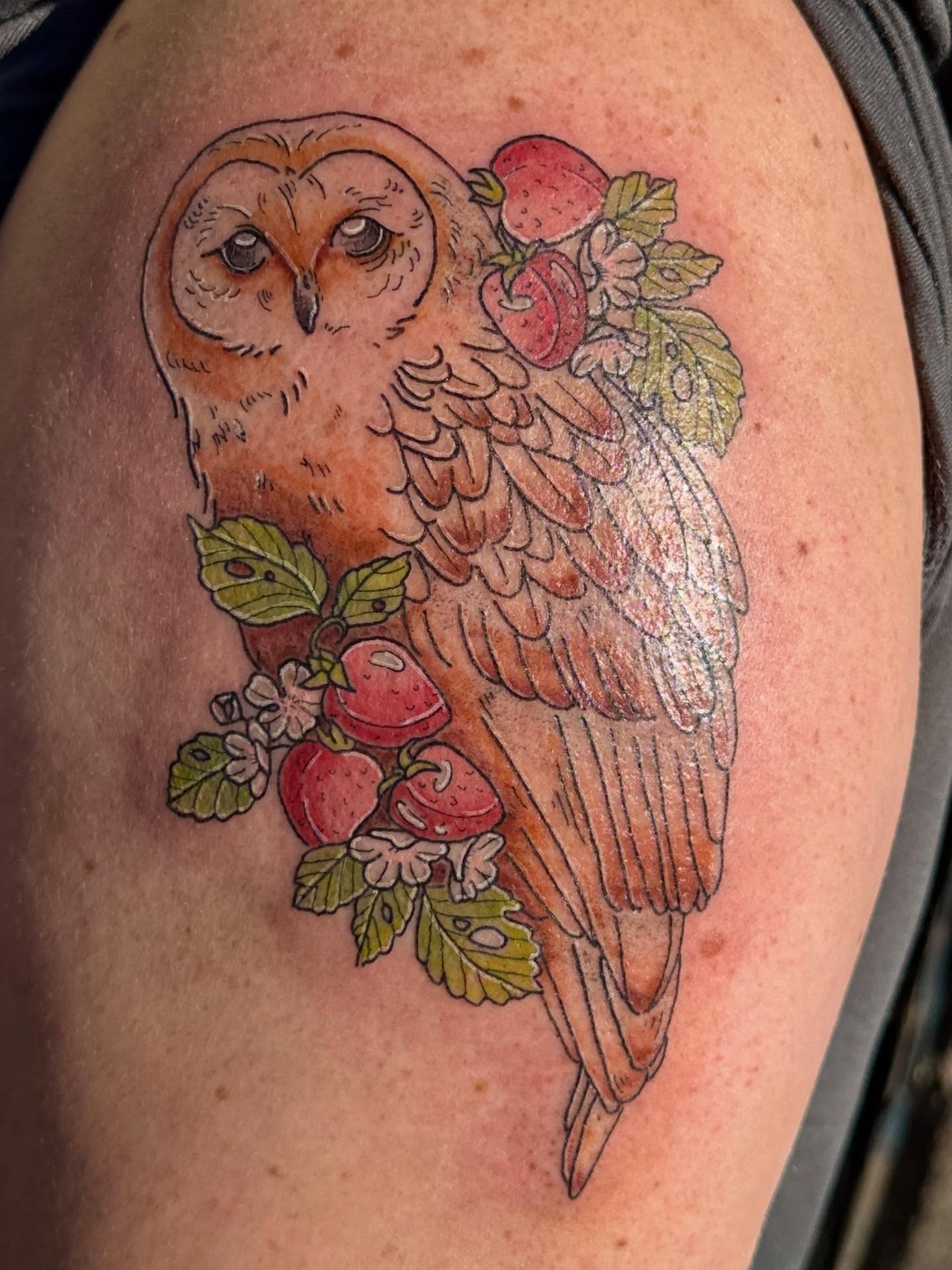Owl and strawberries realism tattoo on the shoulder by goose 🪿