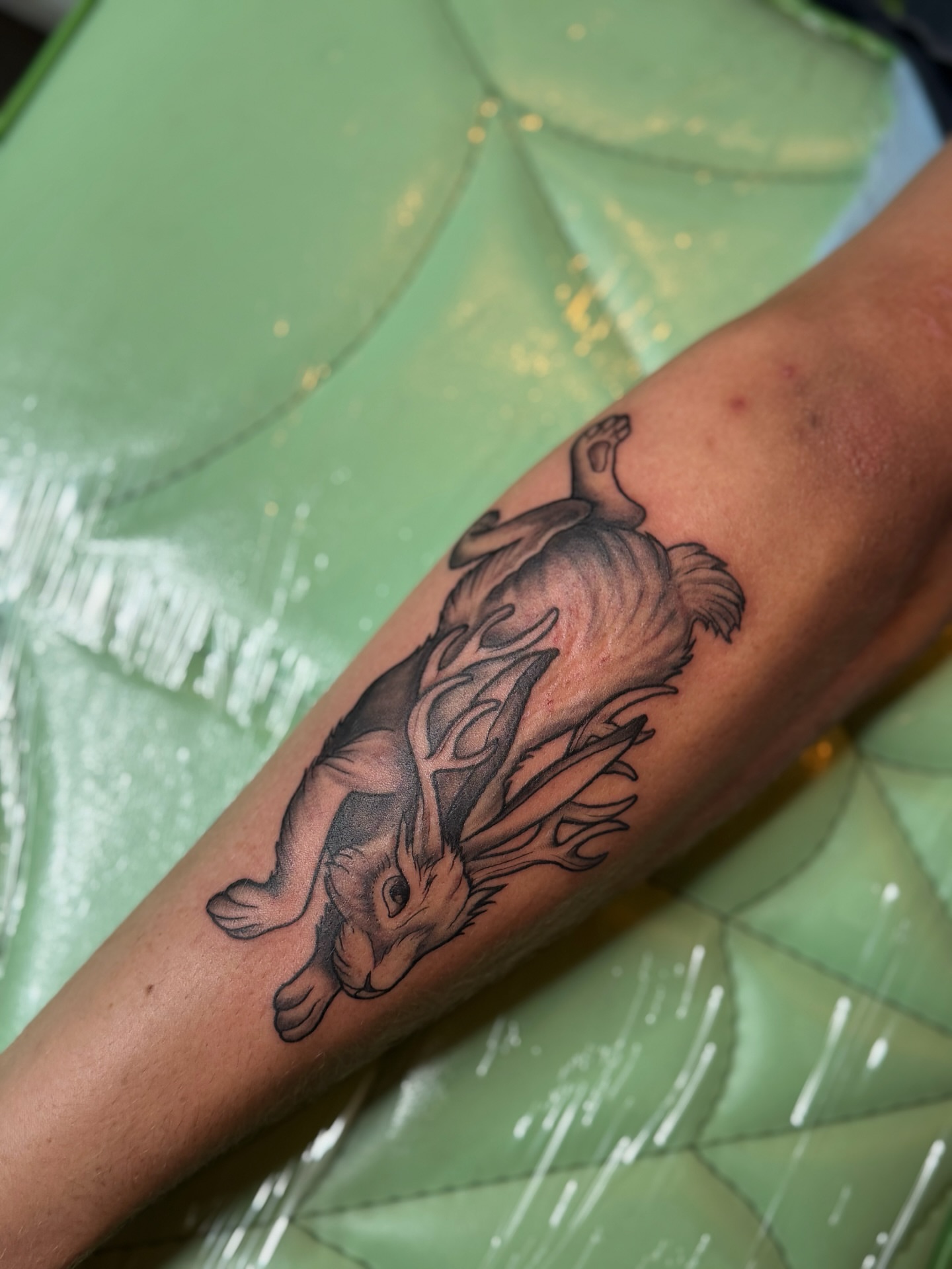 Rabbit black and grey tattoo on the forearm by Lily Bejarno