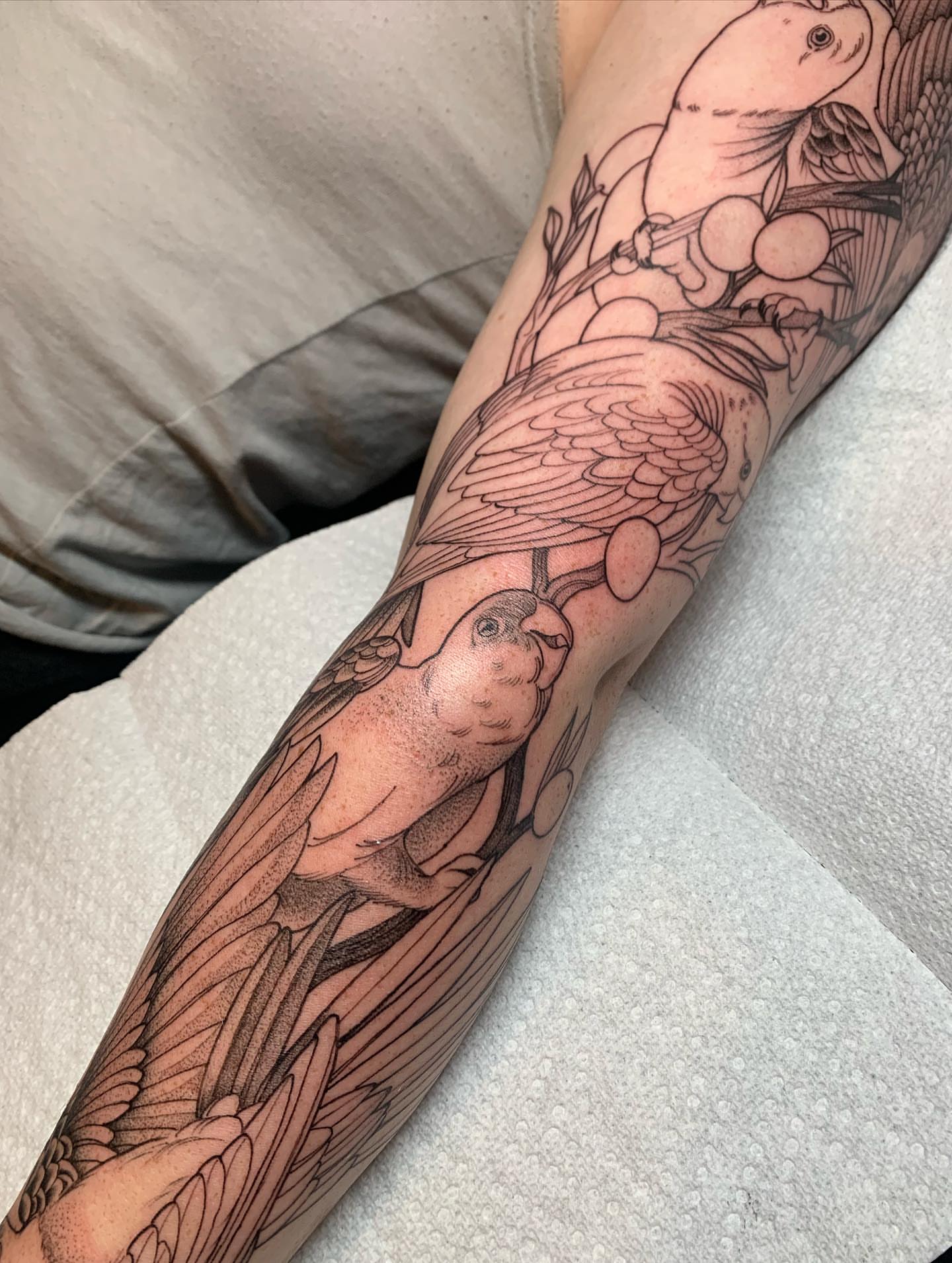 Tattoo by @tabby_wirebach_tattoos — black_and_grey, realism
