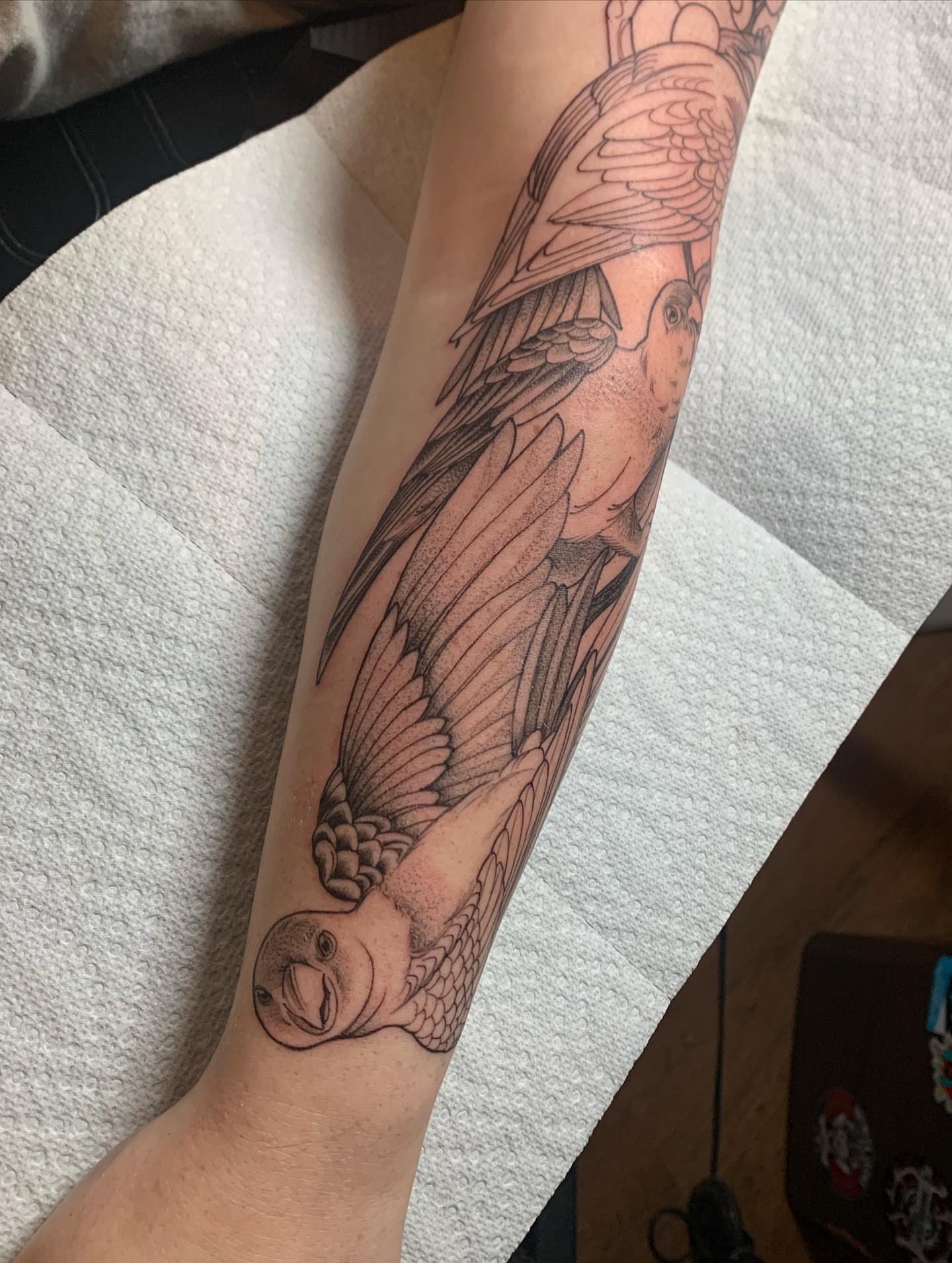 Tattoo by @tabby_wirebach_tattoos — black_and_grey