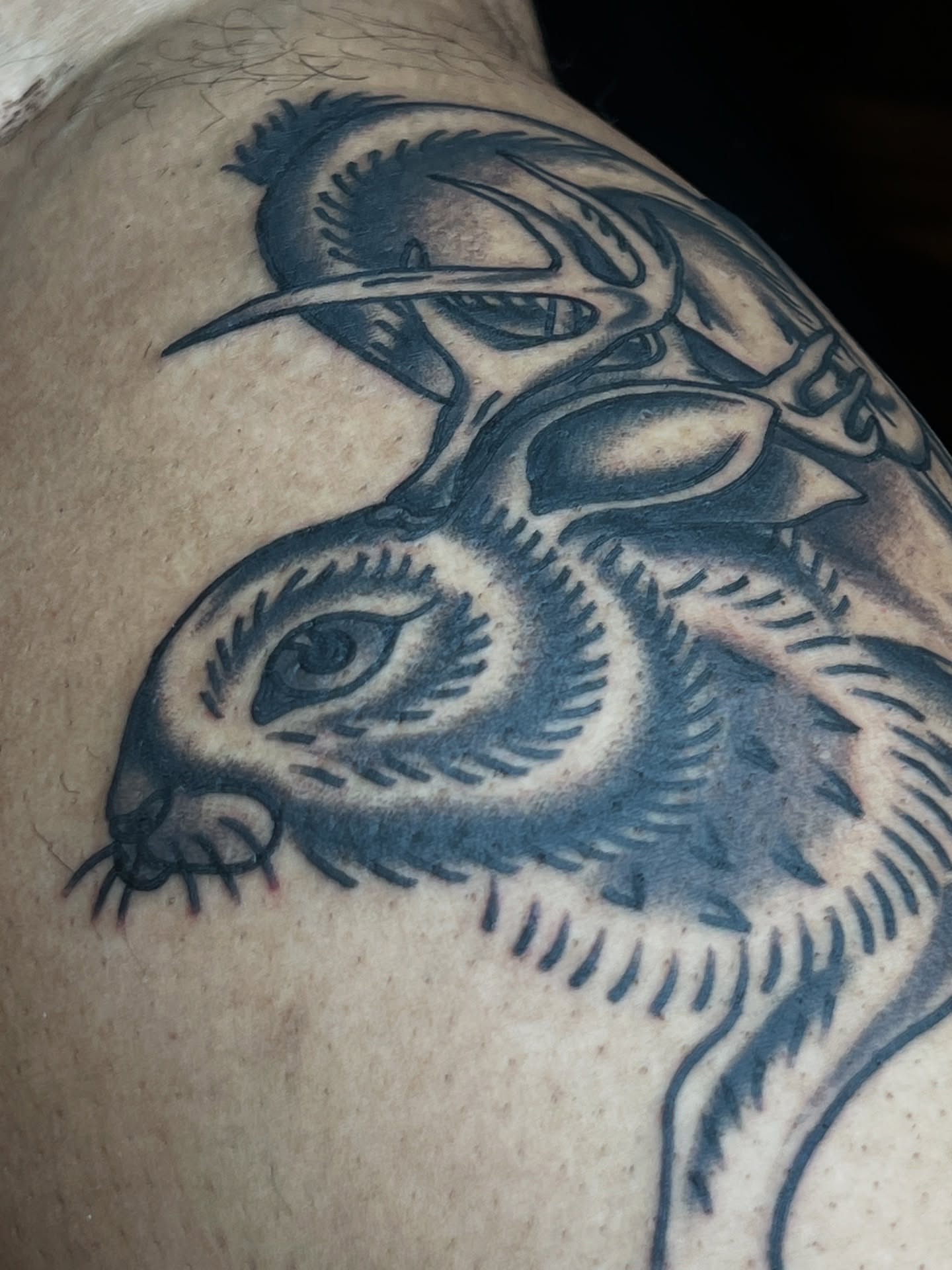 Hare with antlers black and grey tattoo on the shoulder by Cory Miller