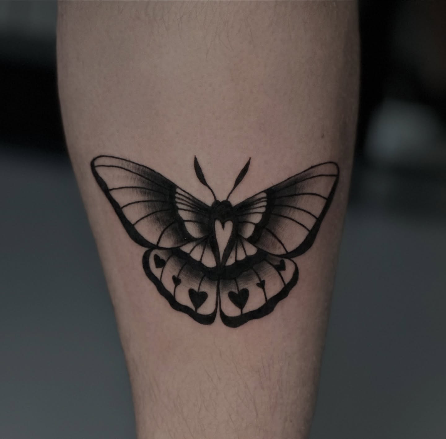Butterfly black and grey tattoo on the forearm by πΎππ π π·ππ πππππ πΏπππππ π¬πππππ