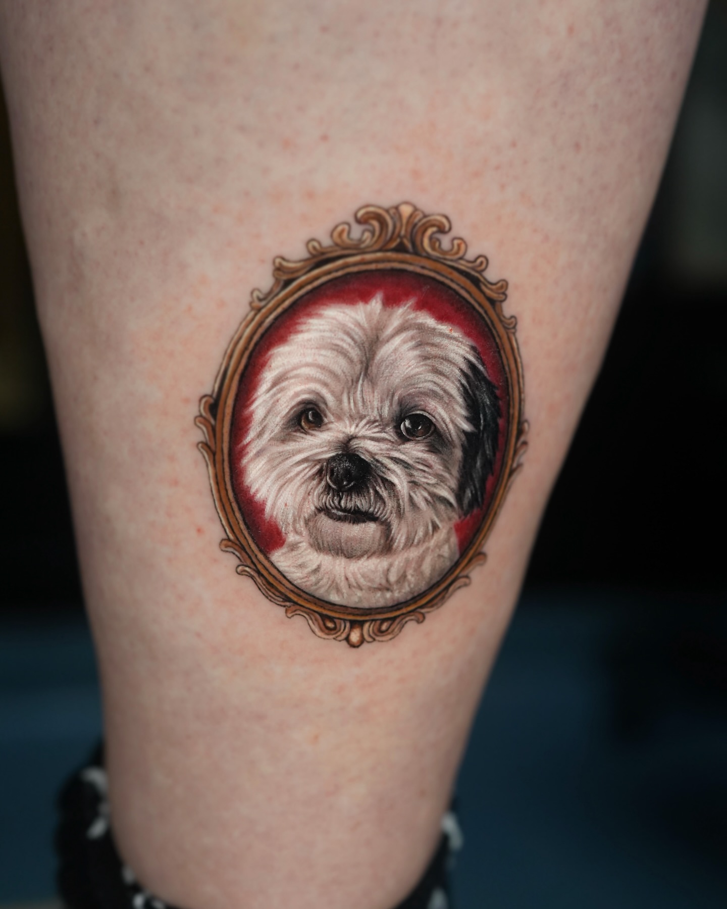 Dog portrait realism tattoo on the thigh by Hoze