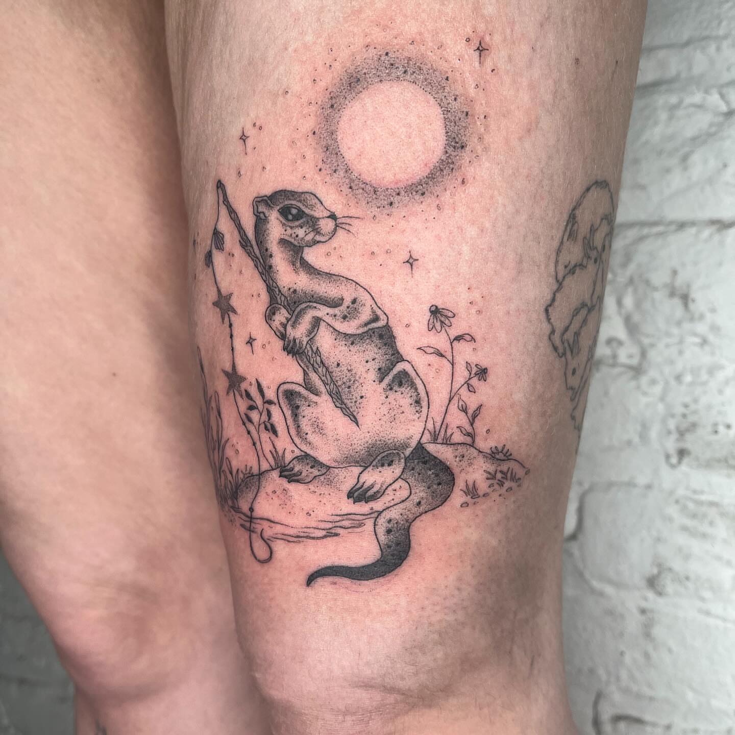 Otter and moon dotwork tattoo on the leg by 𝔇𝔢𝔰𝔦