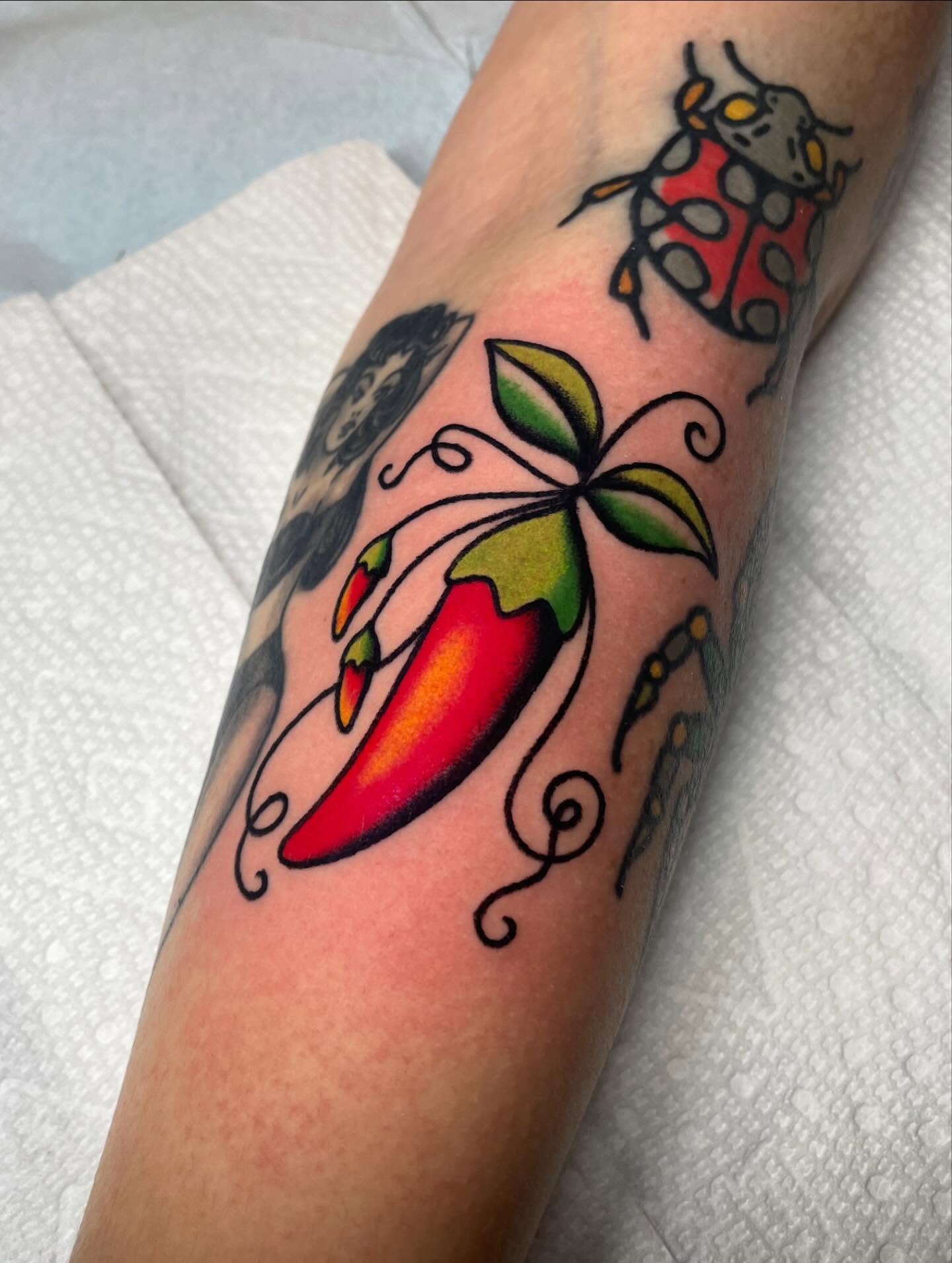 Chili pepper American traditional tattoo on the forearm by Nova Vaughn