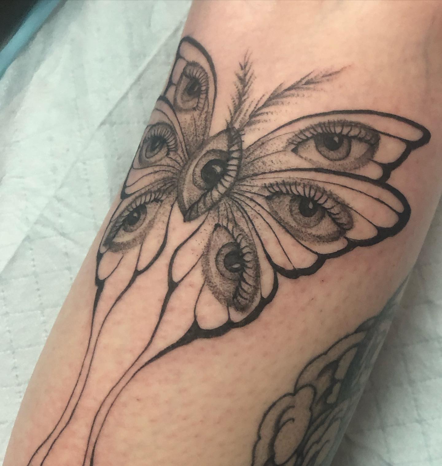 Eye moth realism tattoo on the forearm by Cassandra Colleen