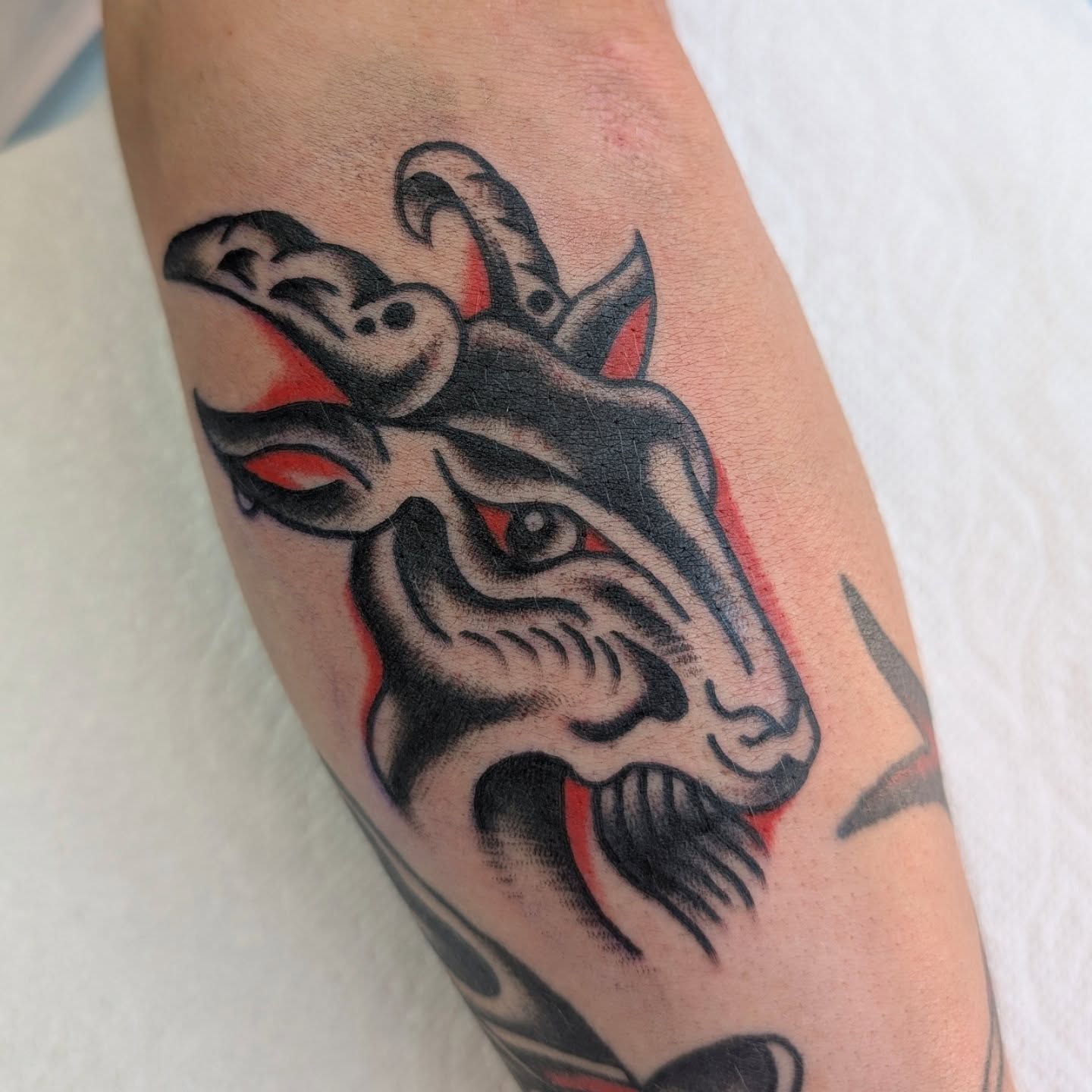 Tattoo by @pybilodeau — american_traditional