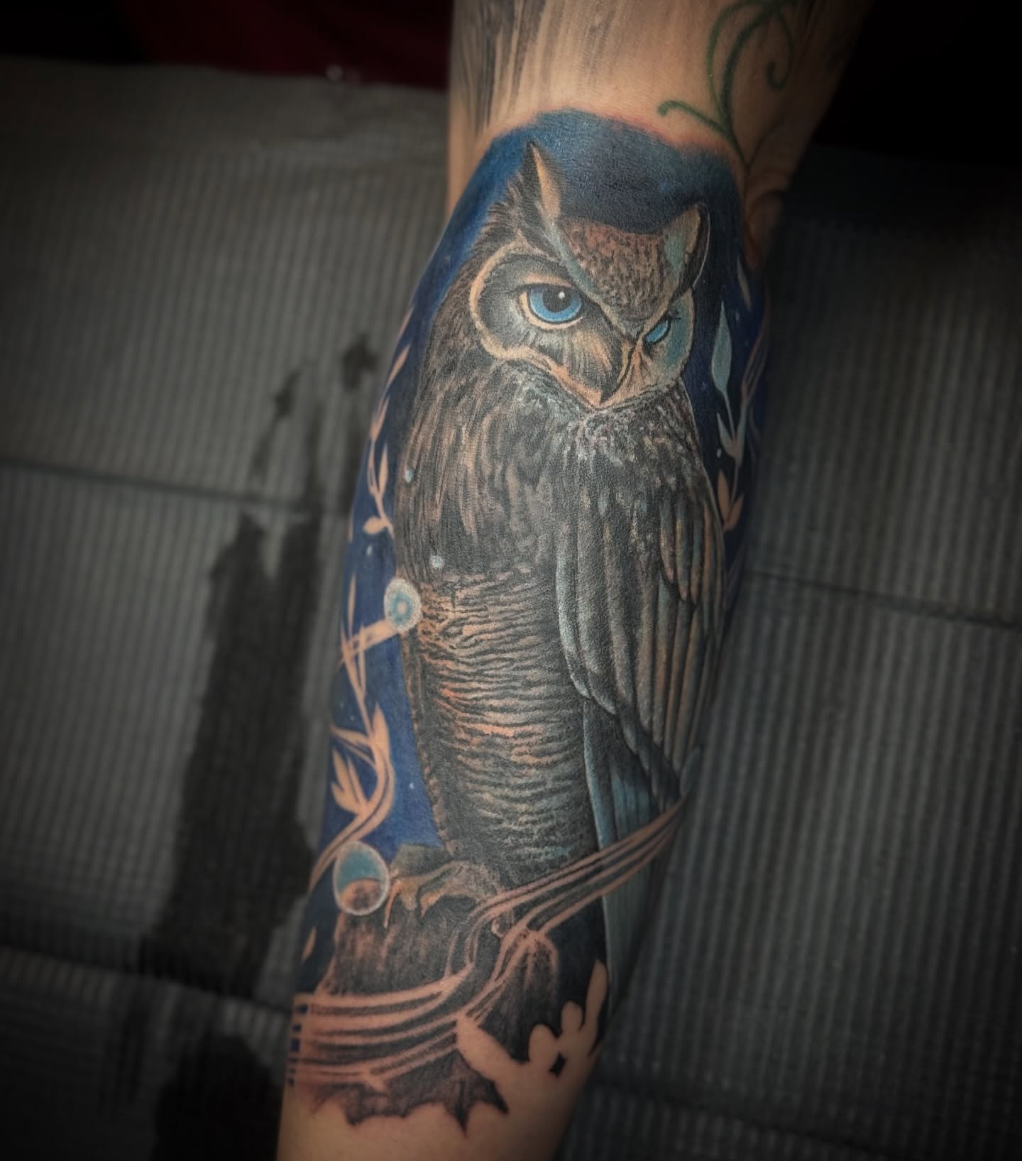 Owl realism tattoo on the forearm by Kelsey Kemp