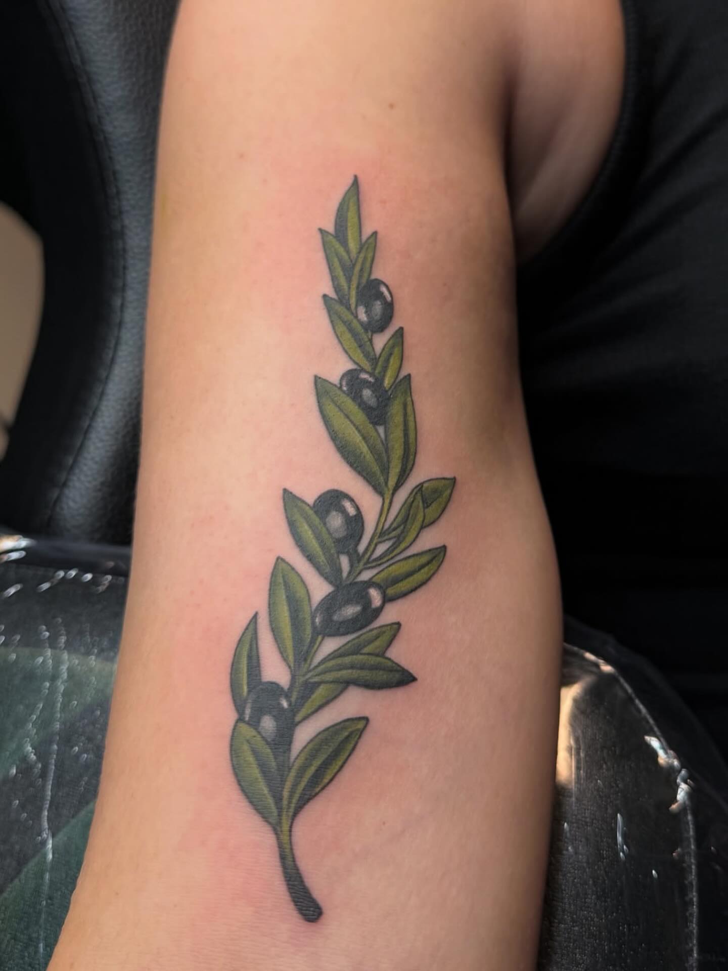 Olive branch realism tattoo on the forearm by Kelsey Kemp