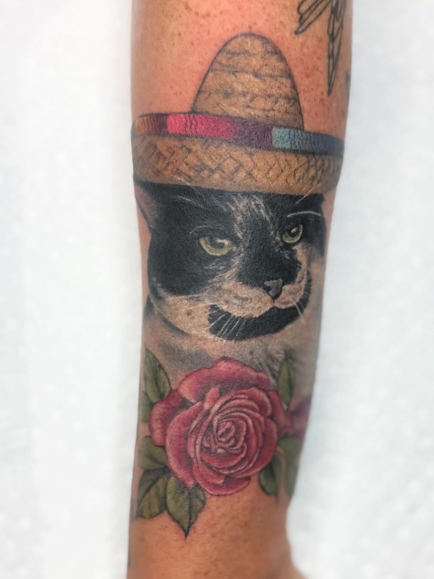 Cat wearing sombrero realism tattoo on the forearm by Kelsey Kemp