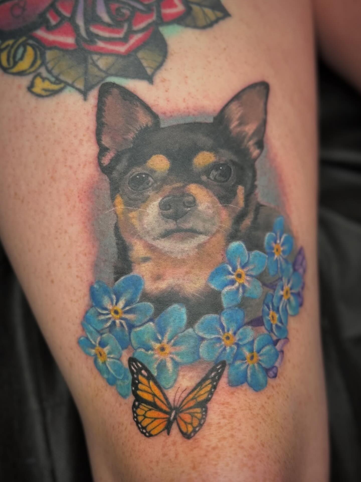 Dog with forget-me-nots and butterfly realism tattoo on the thigh by Kelsey Kemp