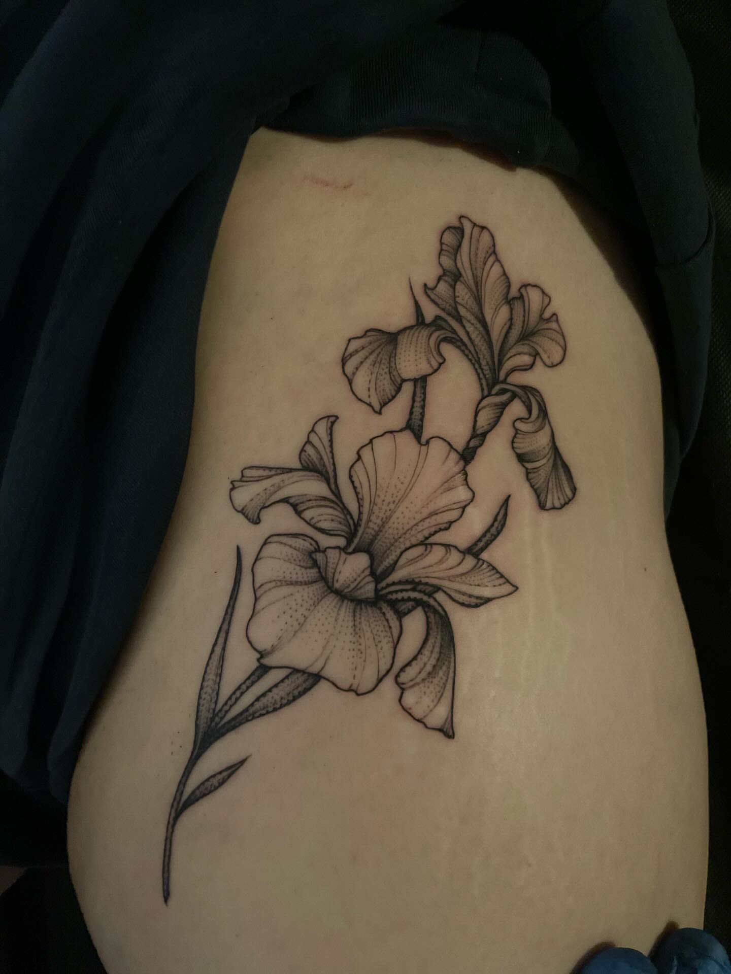 Iris flowers dotwork tattoo on the thigh by Jacob Kearney