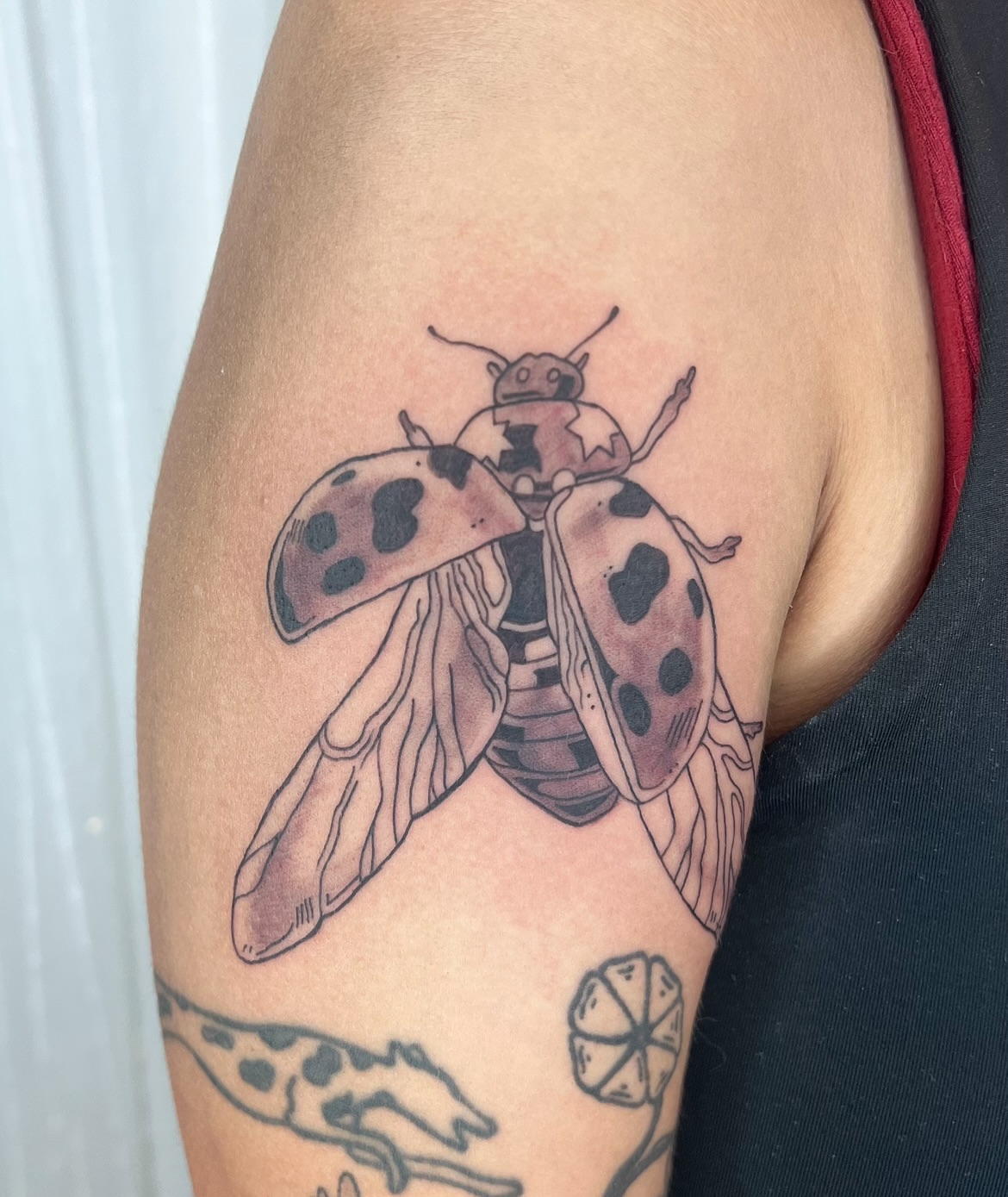Tattoo by ✦Ashley✦ Tattoo Artist, SLC, Salt Lake City, UT