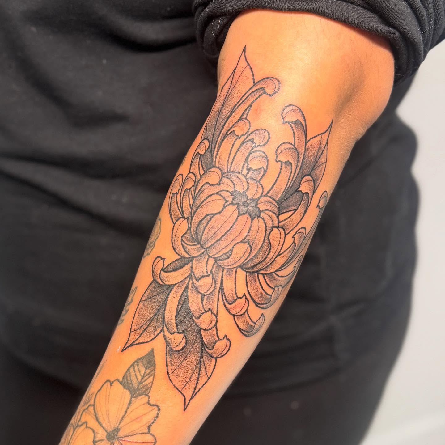 Chrysanthemum dotwork tattoo on the forearm by Ashley Rose - Minnesota Tattoo Artist