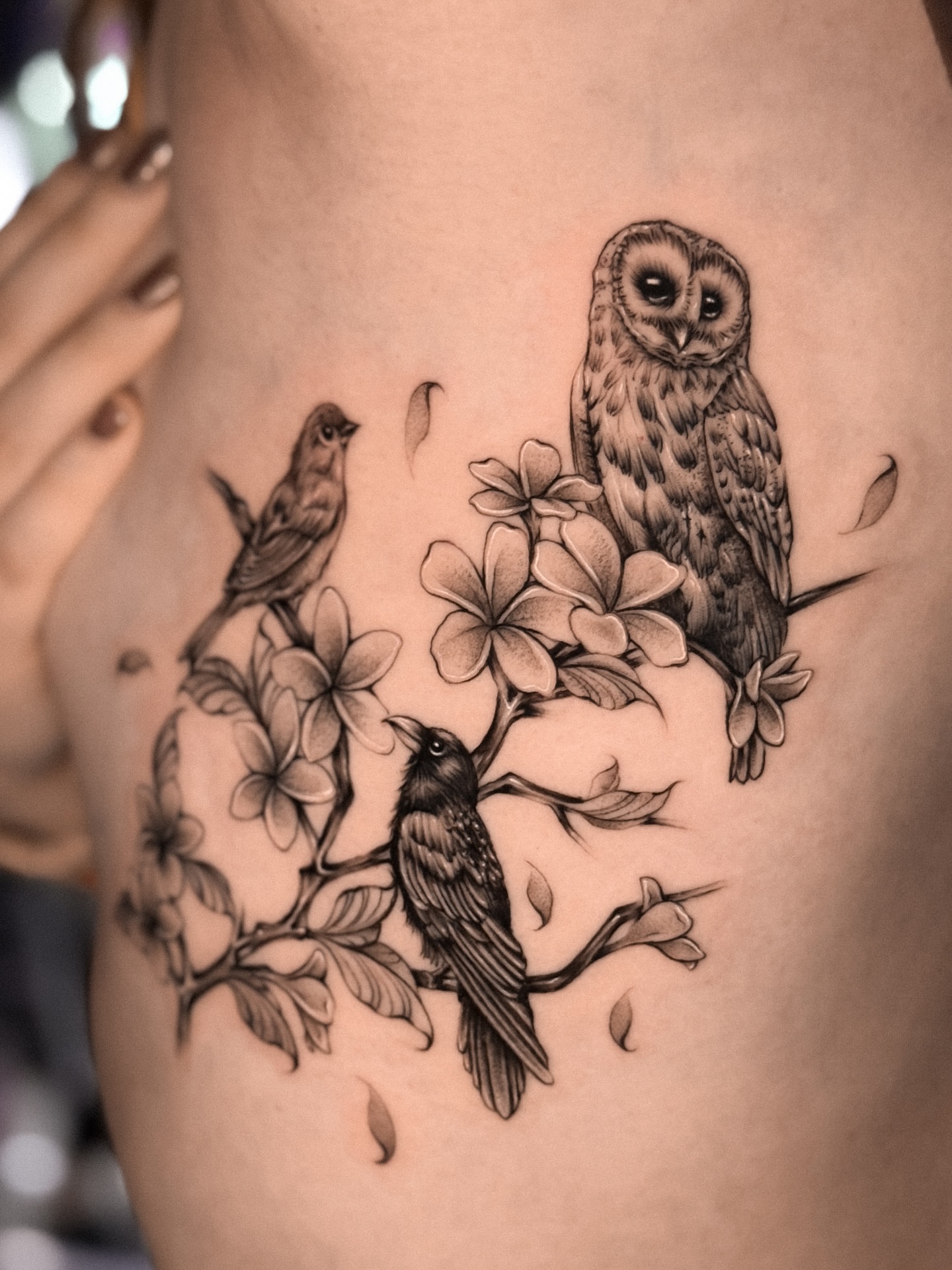 Owl and birds realism tattoo on the shoulder by πππΉππππππππππππ
