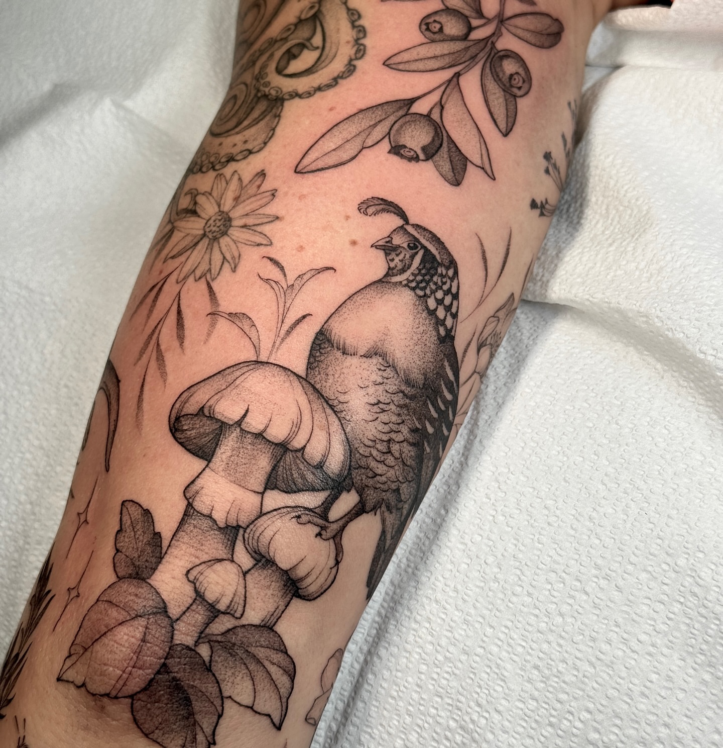 Bird and mushrooms dotwork tattoo on the forearm by Molly Murray