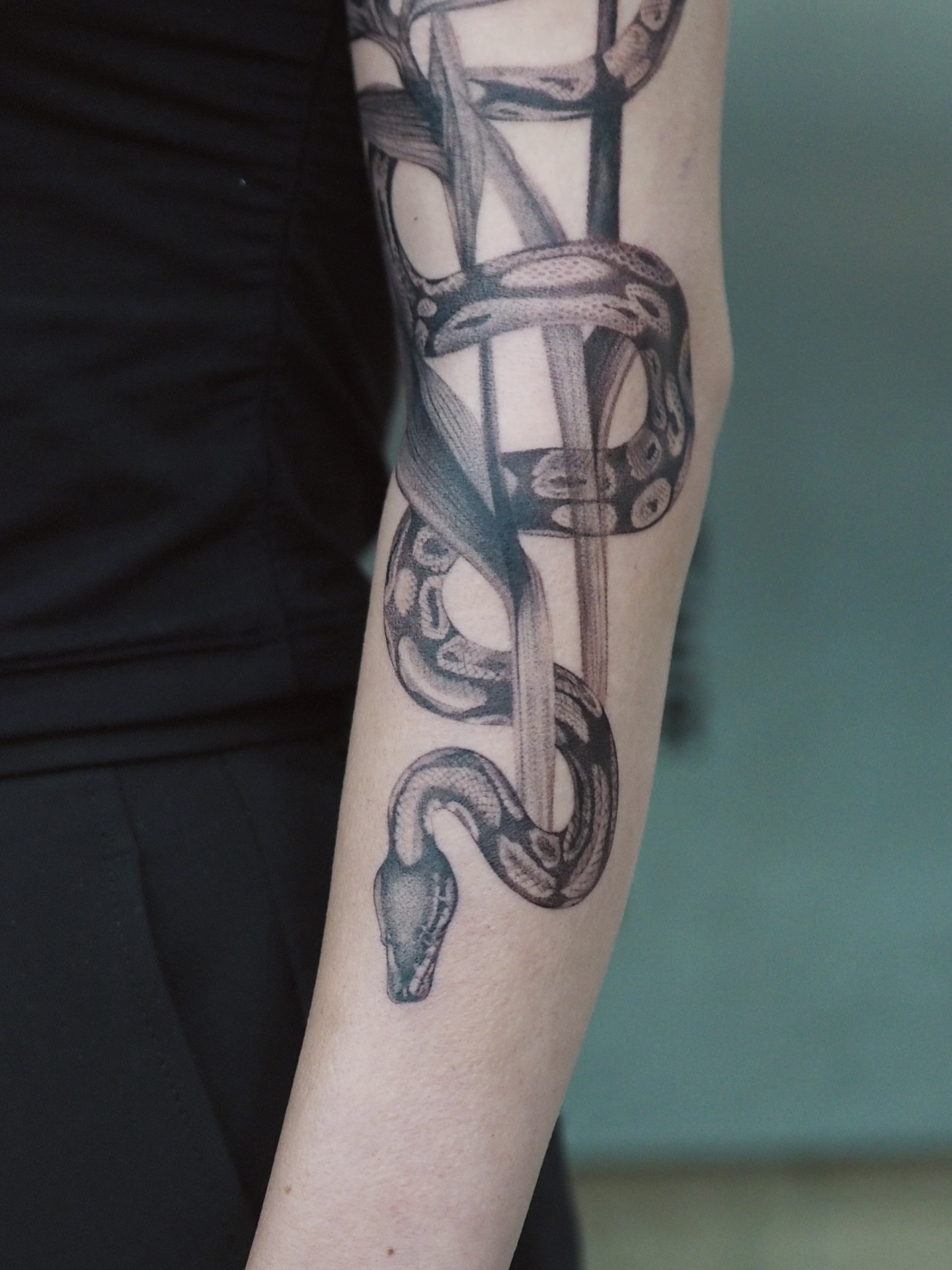 Snake and sword realism tattoo on the forearm by Anastasiia Pakhanova ♥ tattoo artist