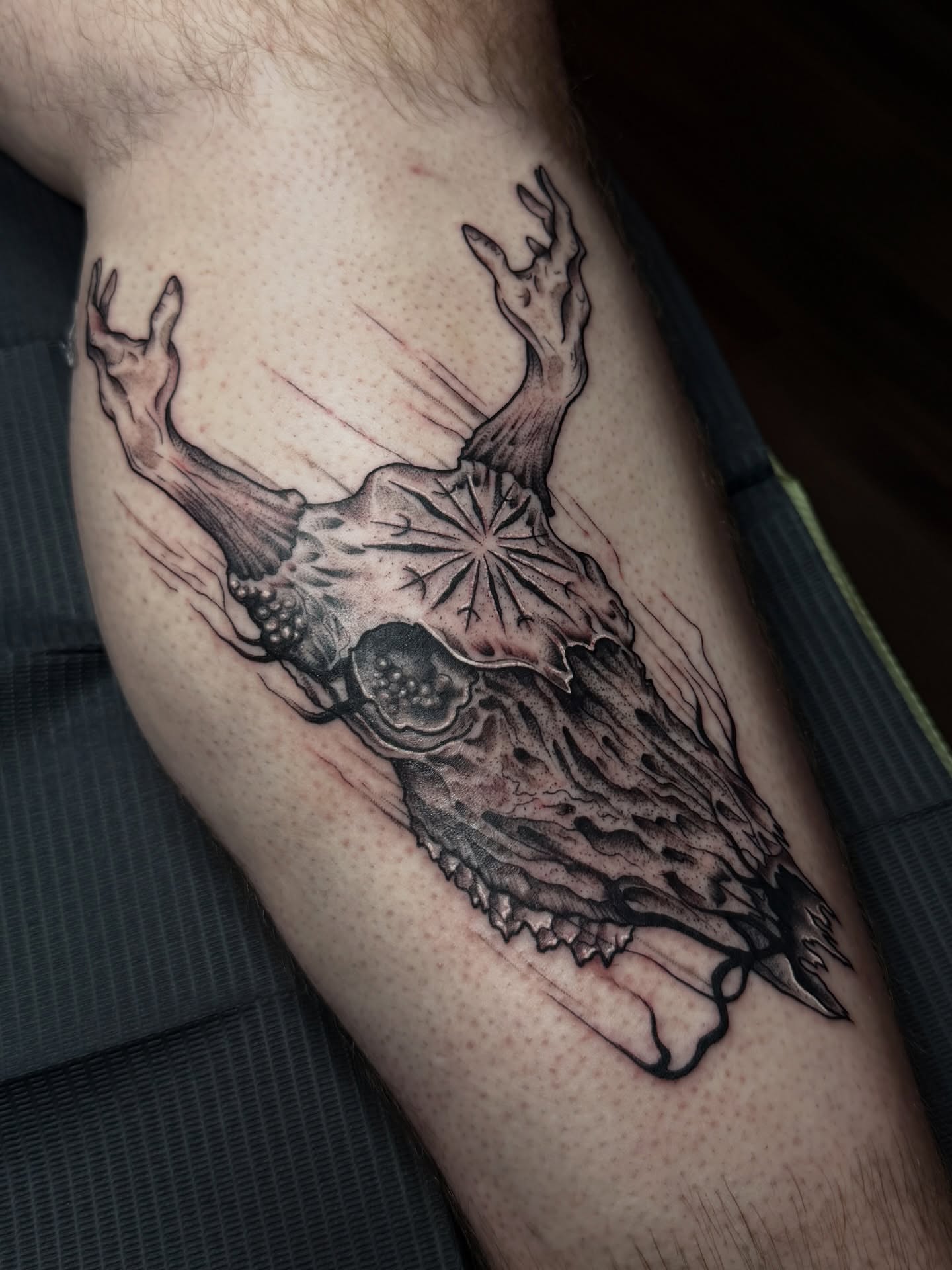 Deer skull black and grey tattoo on the forearm by 𝔐𝔦𝔠𝔥𝔢𝔩𝔩𝔢𝔫 🦇