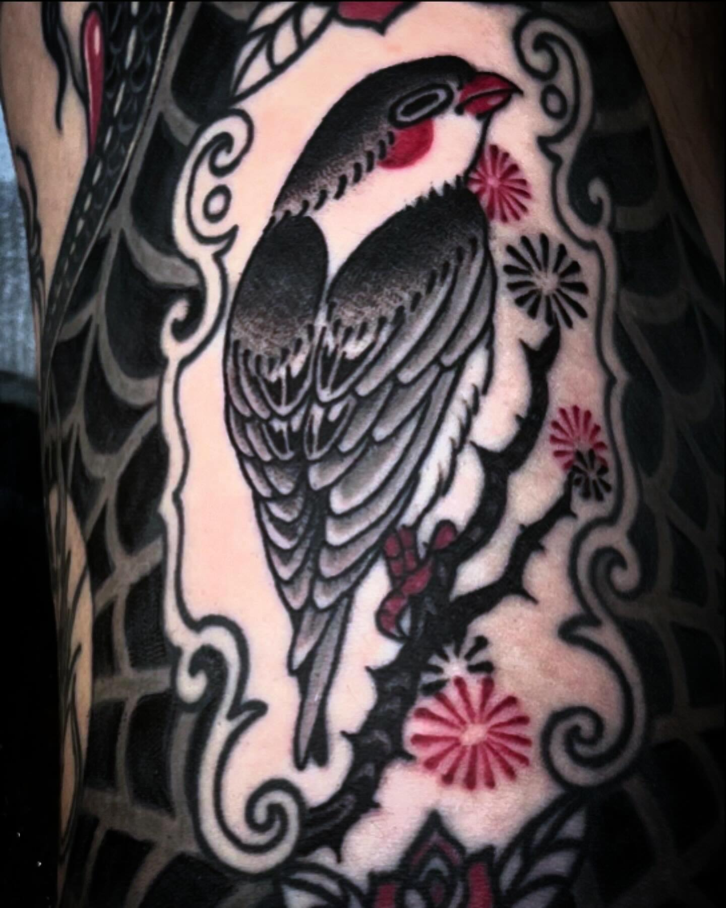Bird American traditional tattoo on the upper arm by 吳盈慧, Los Angeles, California