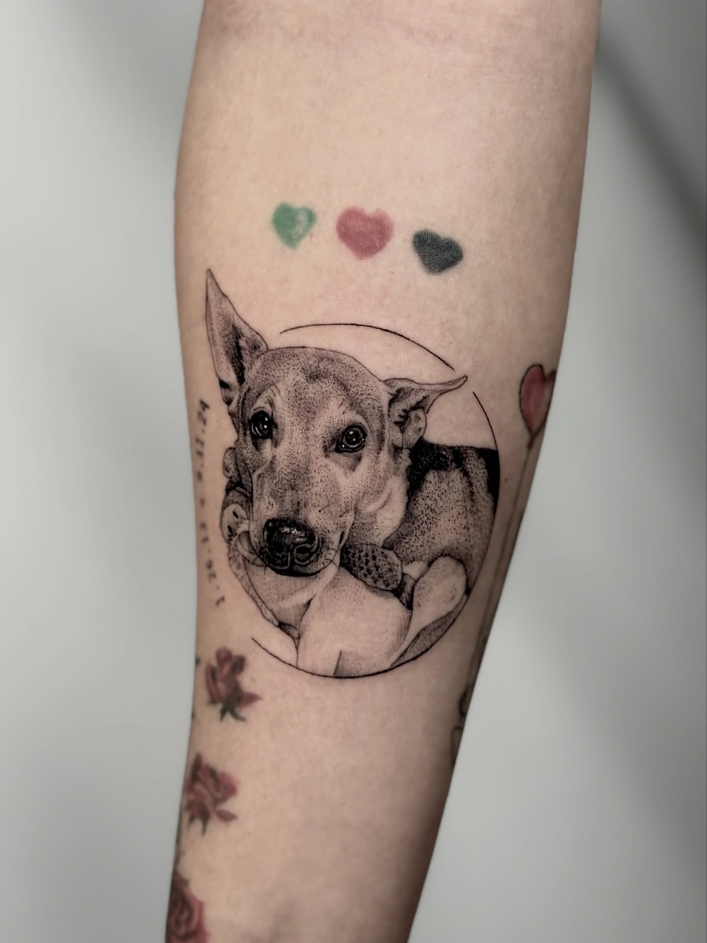 Dog dotwork tattoo on the forearm by Bryan