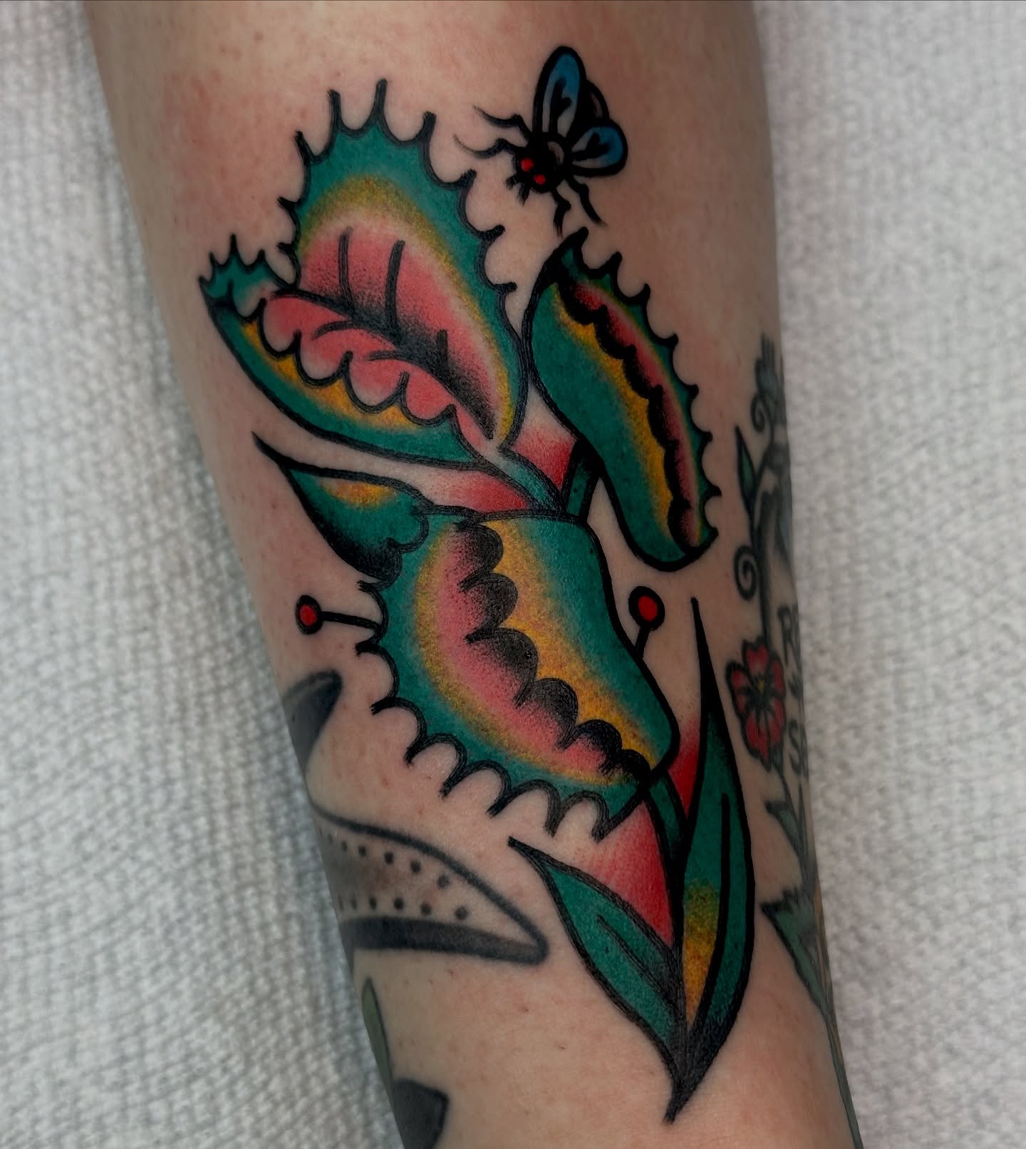 Tattoo by @bonhommetattoo — american_traditional