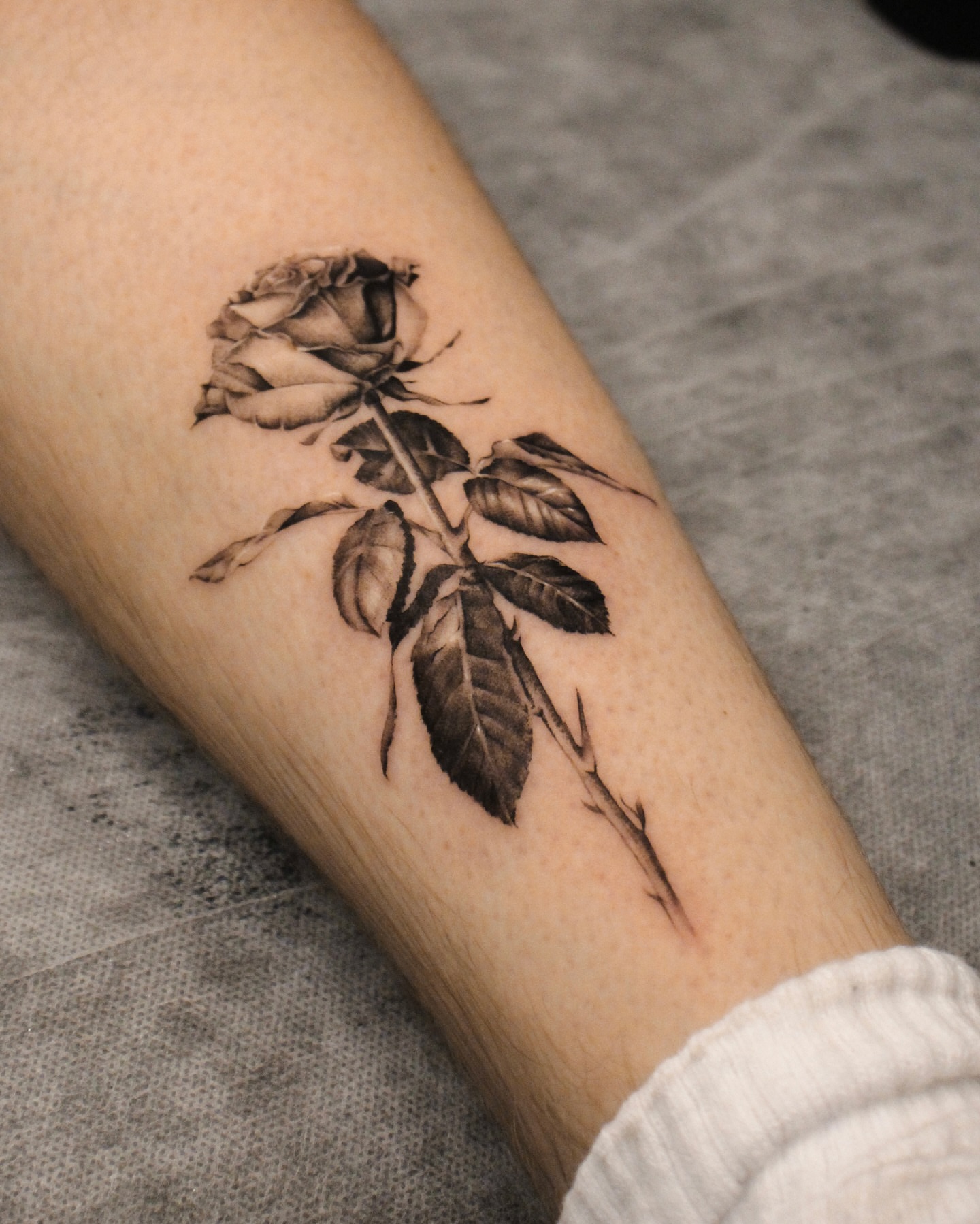 Rose black and grey tattoo on the forearm by Tattoo artist EJ (Mireu)