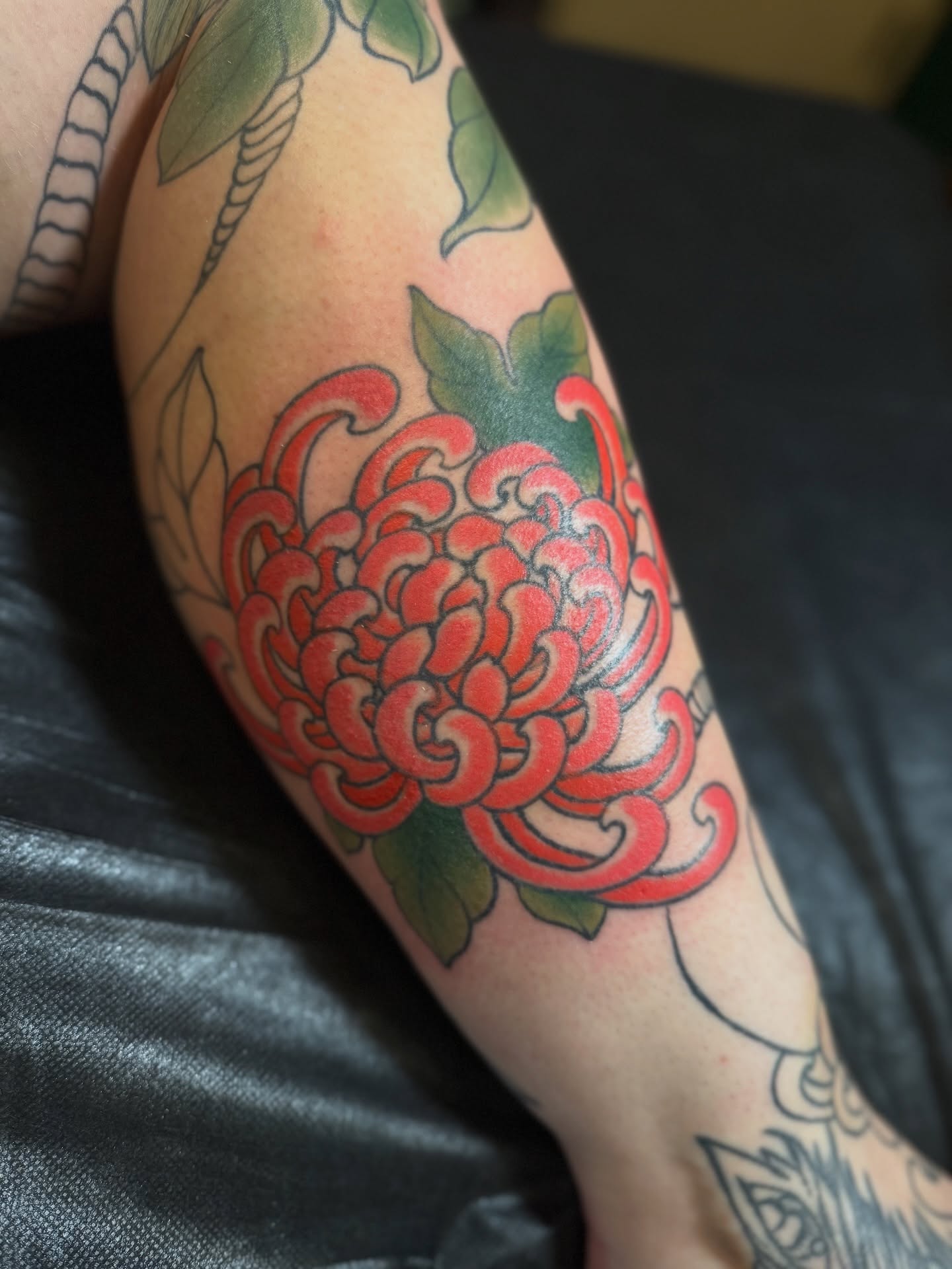 Chrysanthemum American traditional tattoo on the forearm by Candi Kinyōbi