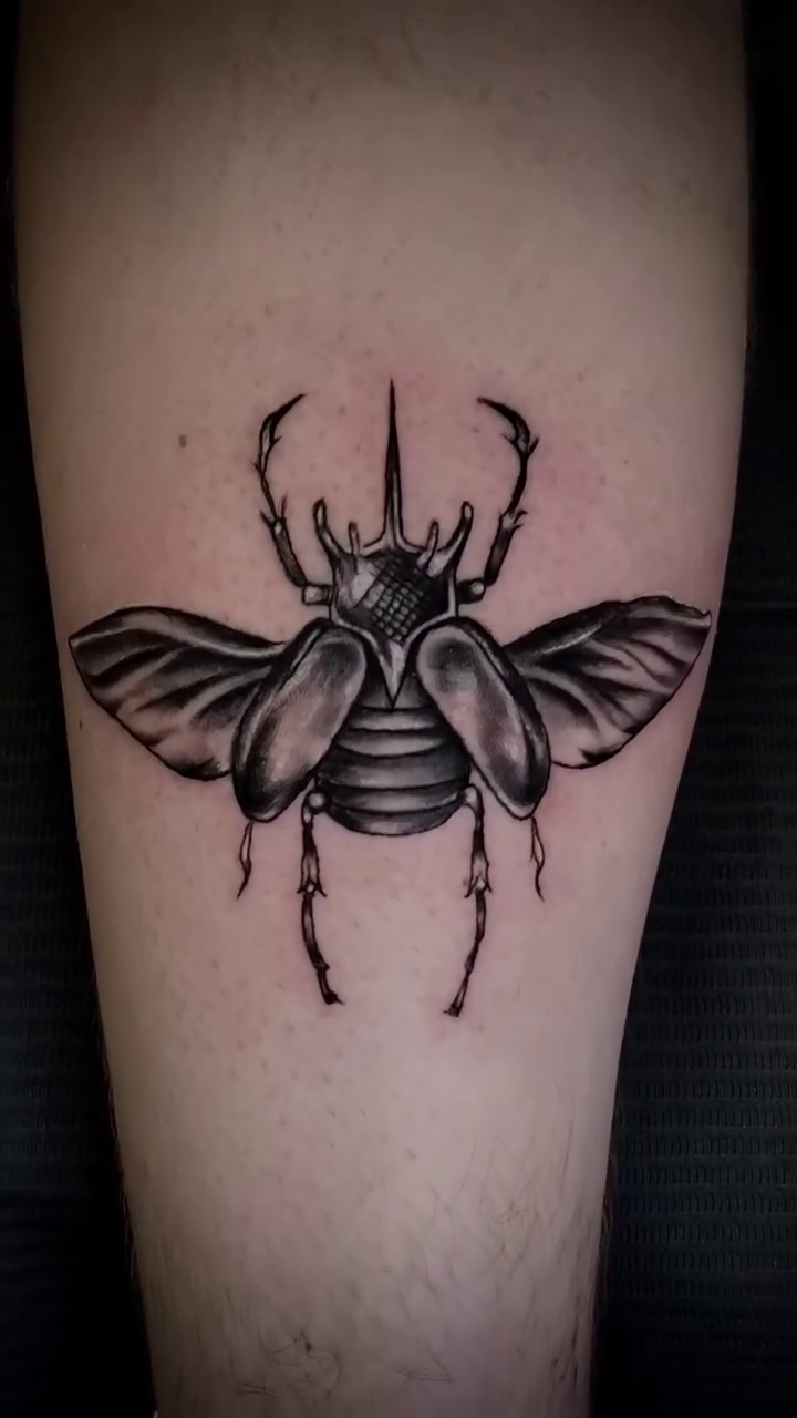 Rhinoceros beetle tattoo fine line tattoo on the forearm by William Gualteros